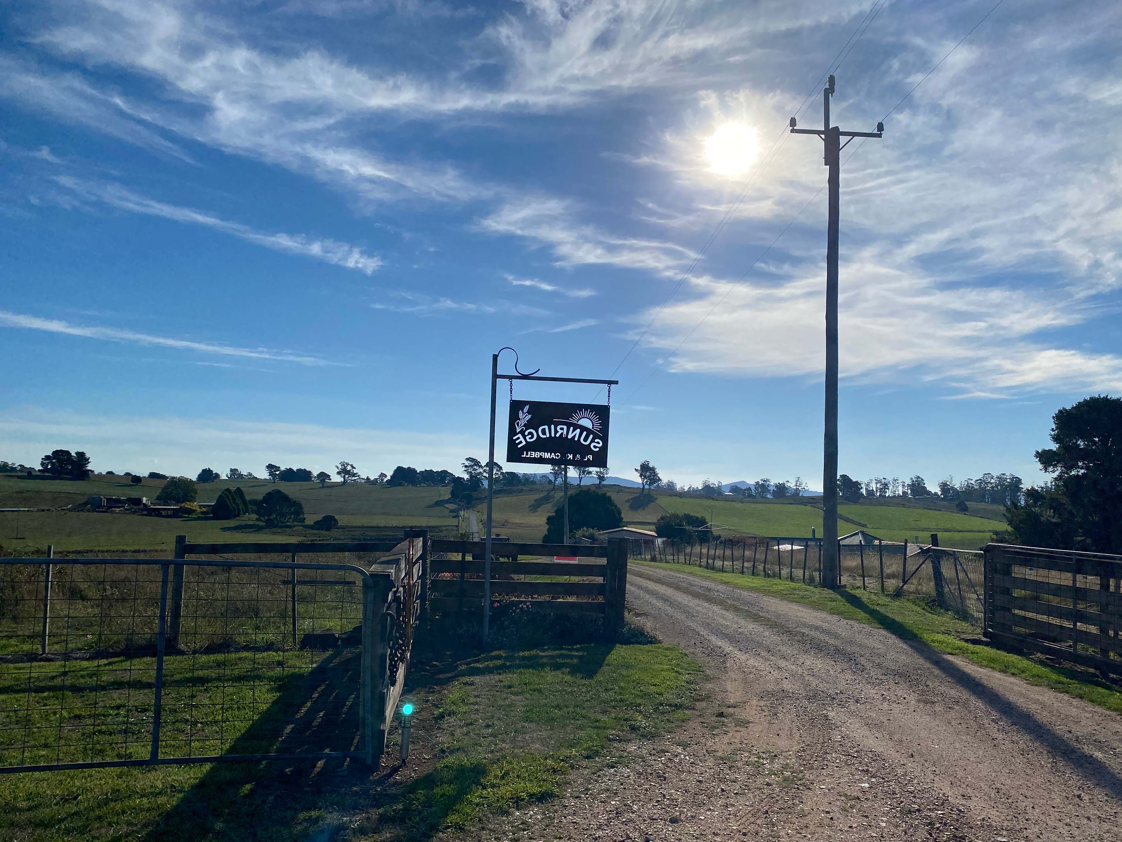 Sunridge Valley Views