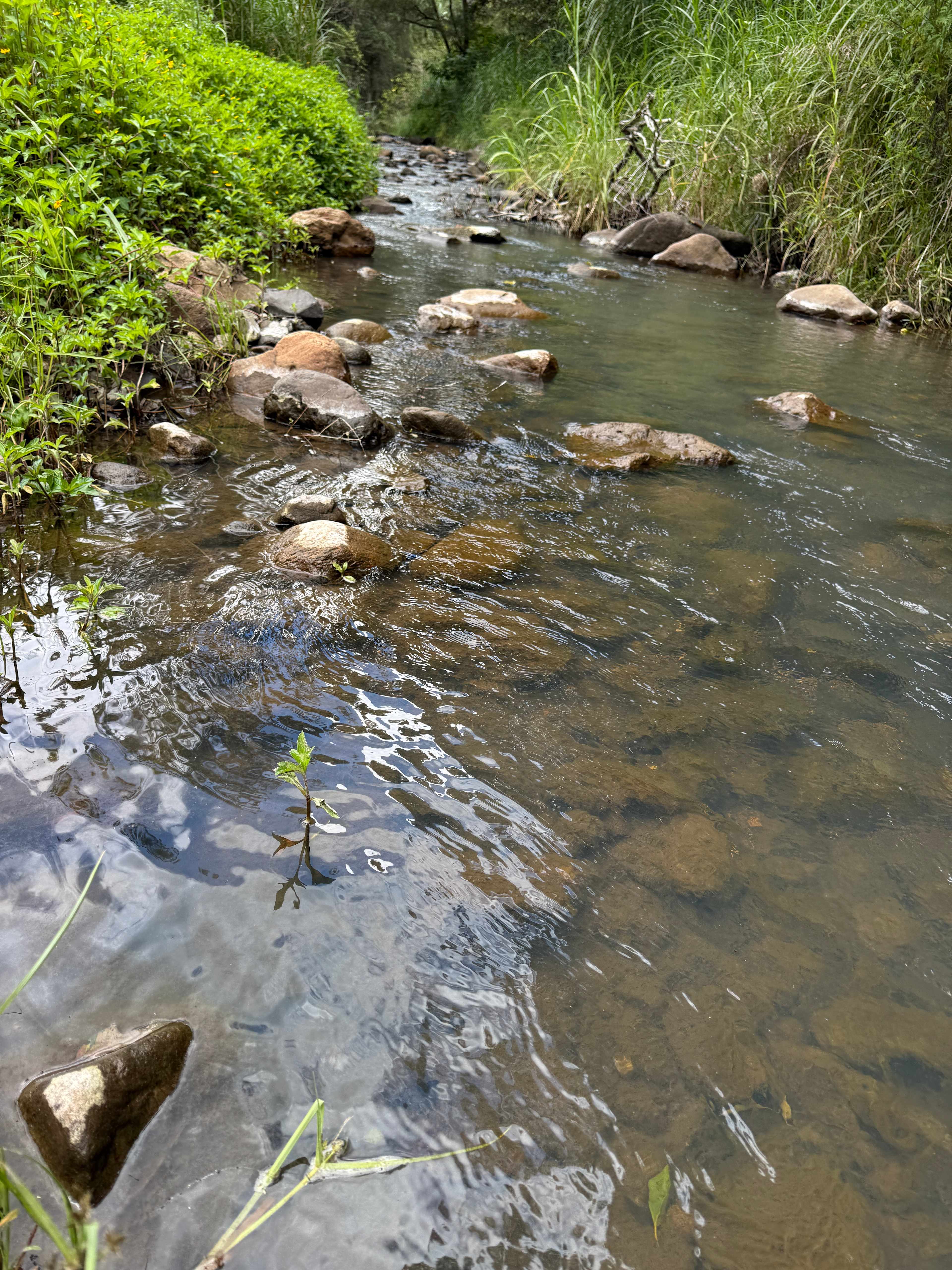 Trickling Waters Retreat