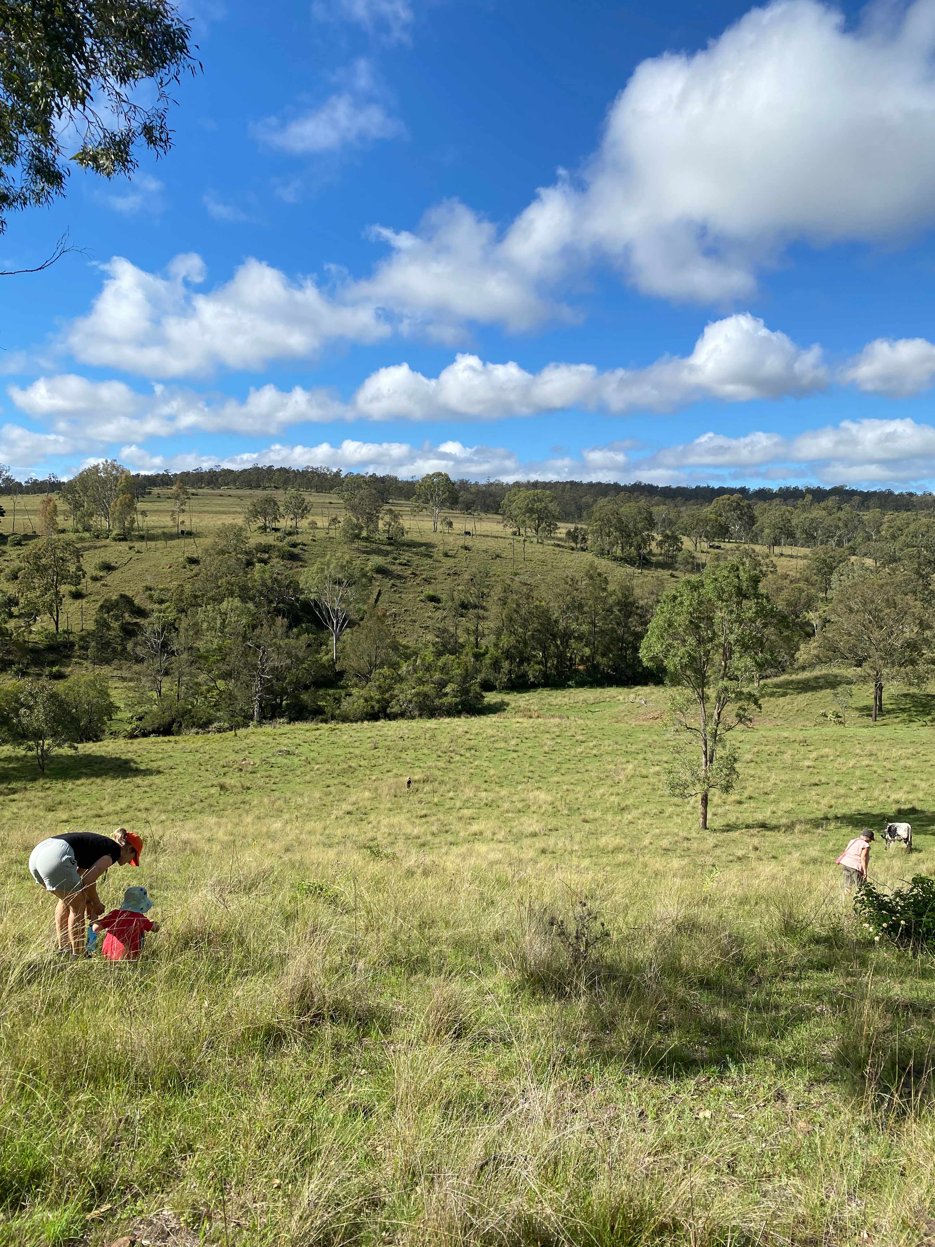Walking the farm