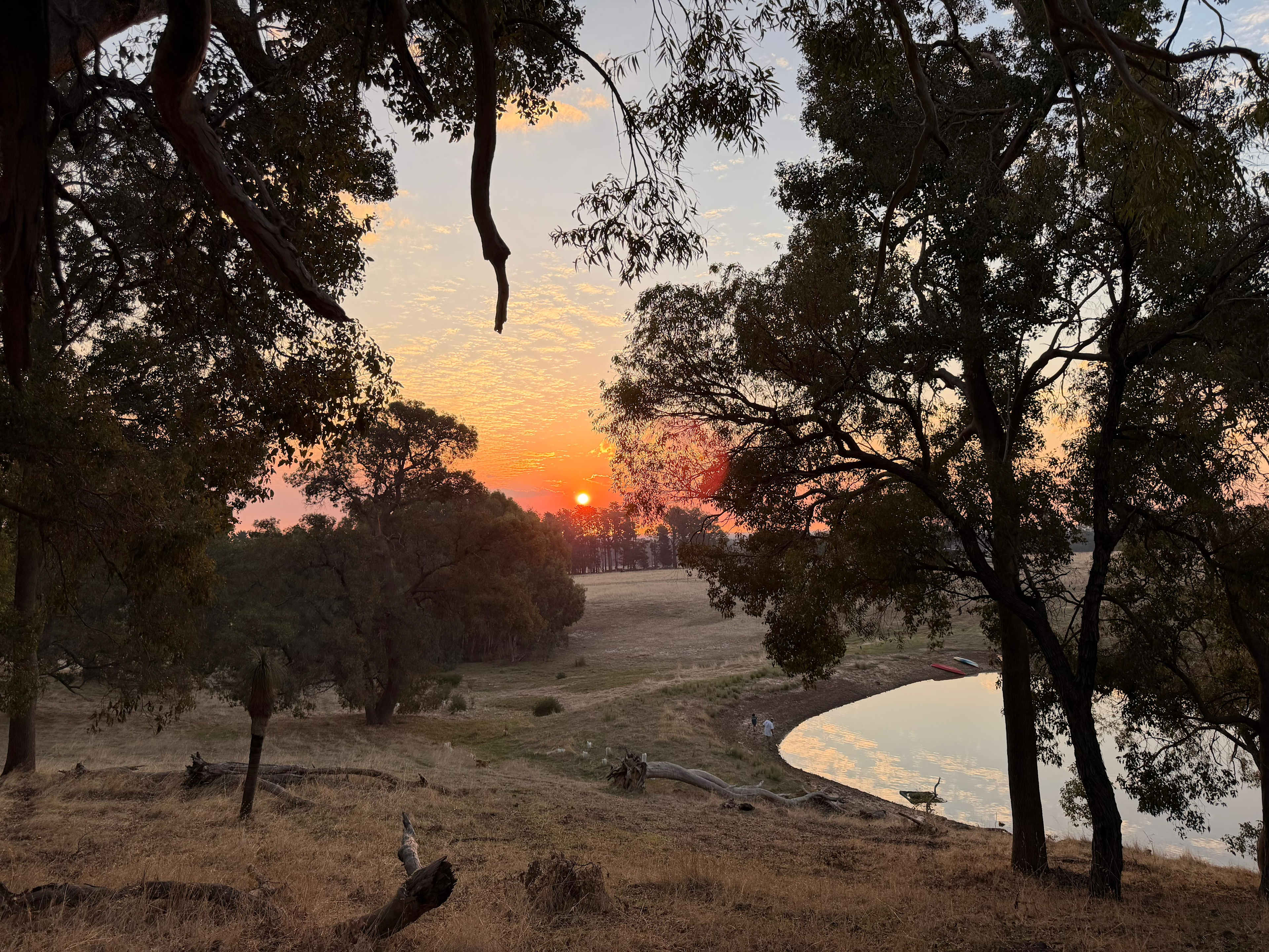 Jacaranda Hill Farm