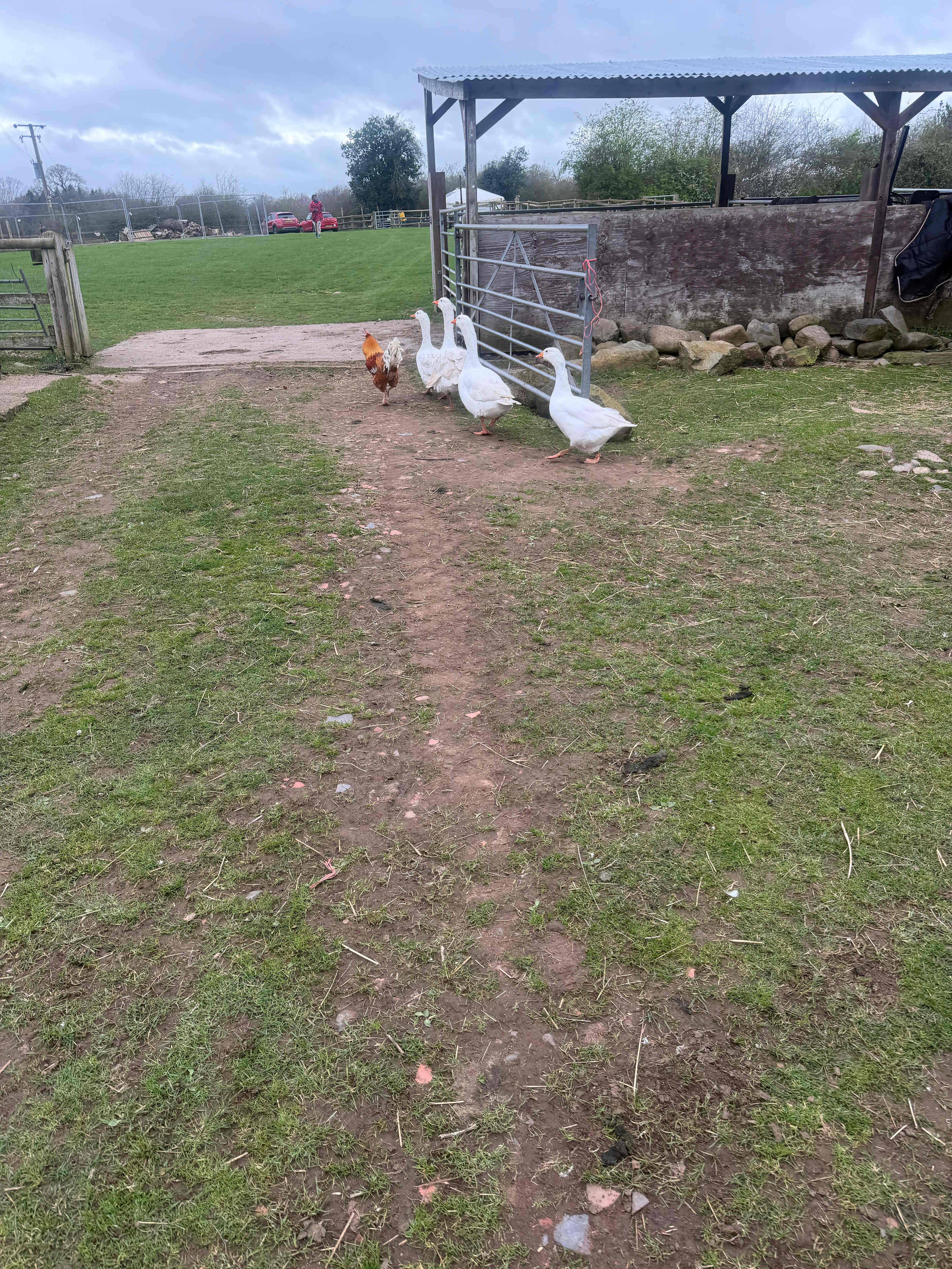 Glamping West Midlands