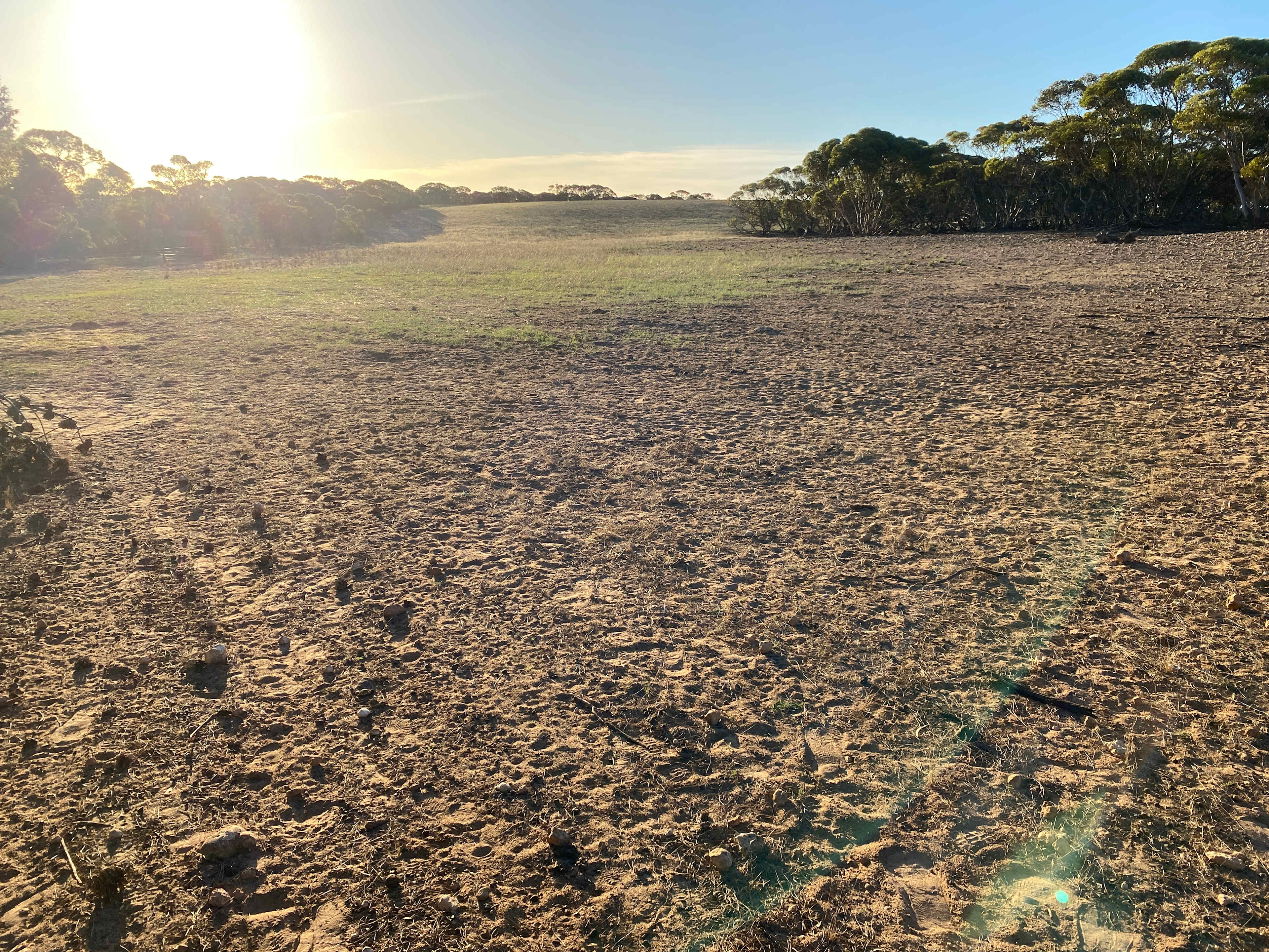 Picture of the site