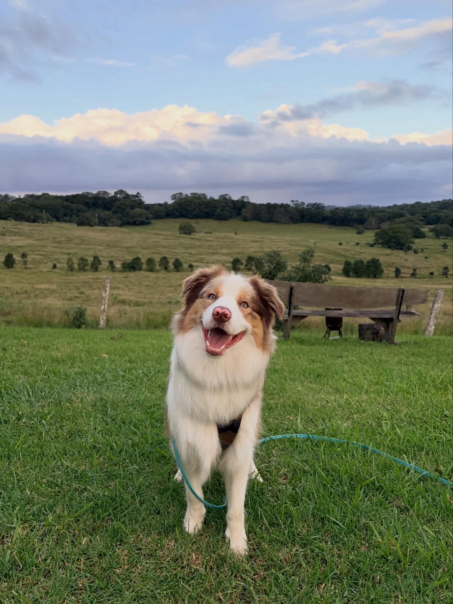 Byron Myocum Farm