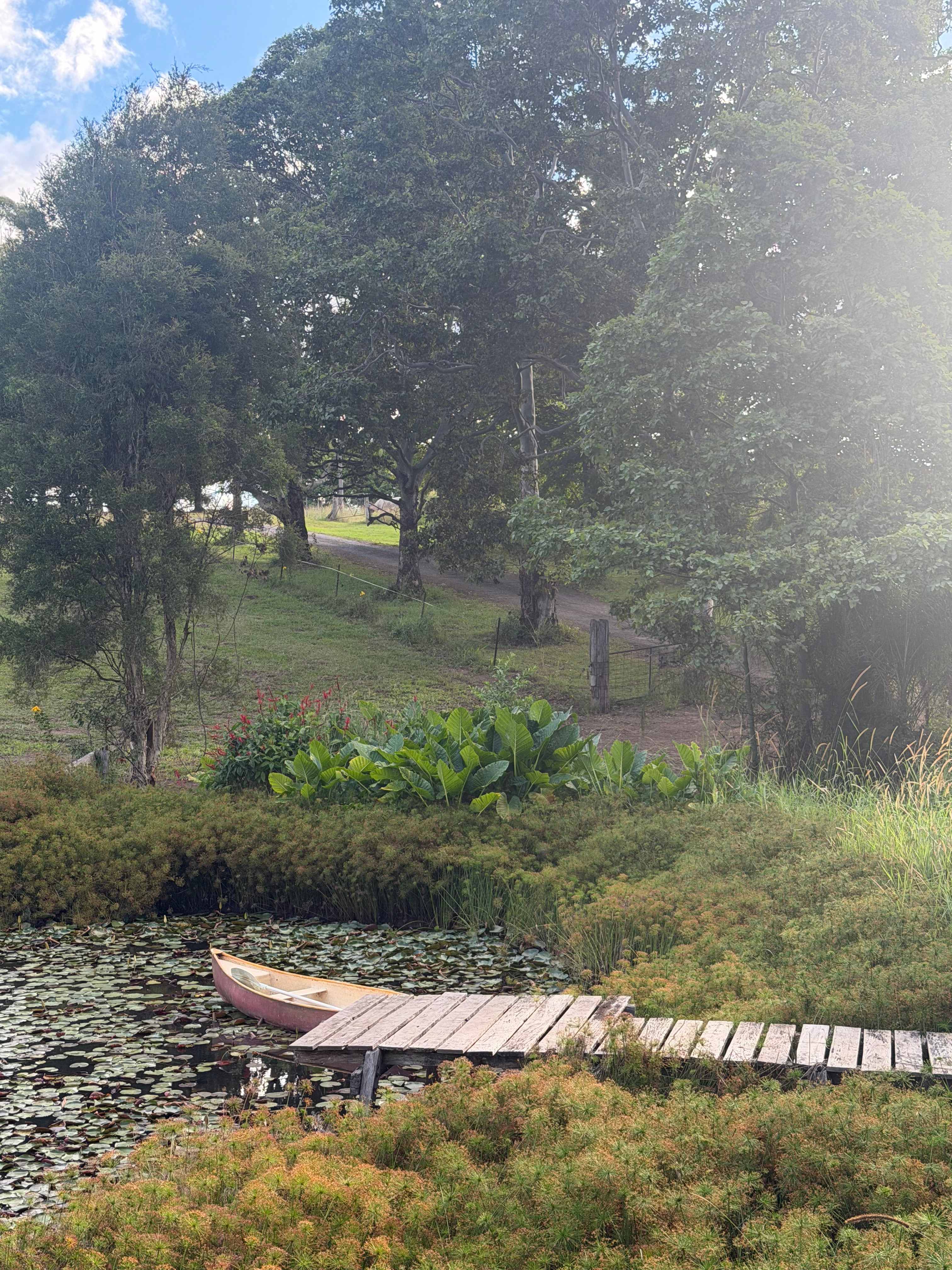 Bucca Valley Blueberries Farmstay