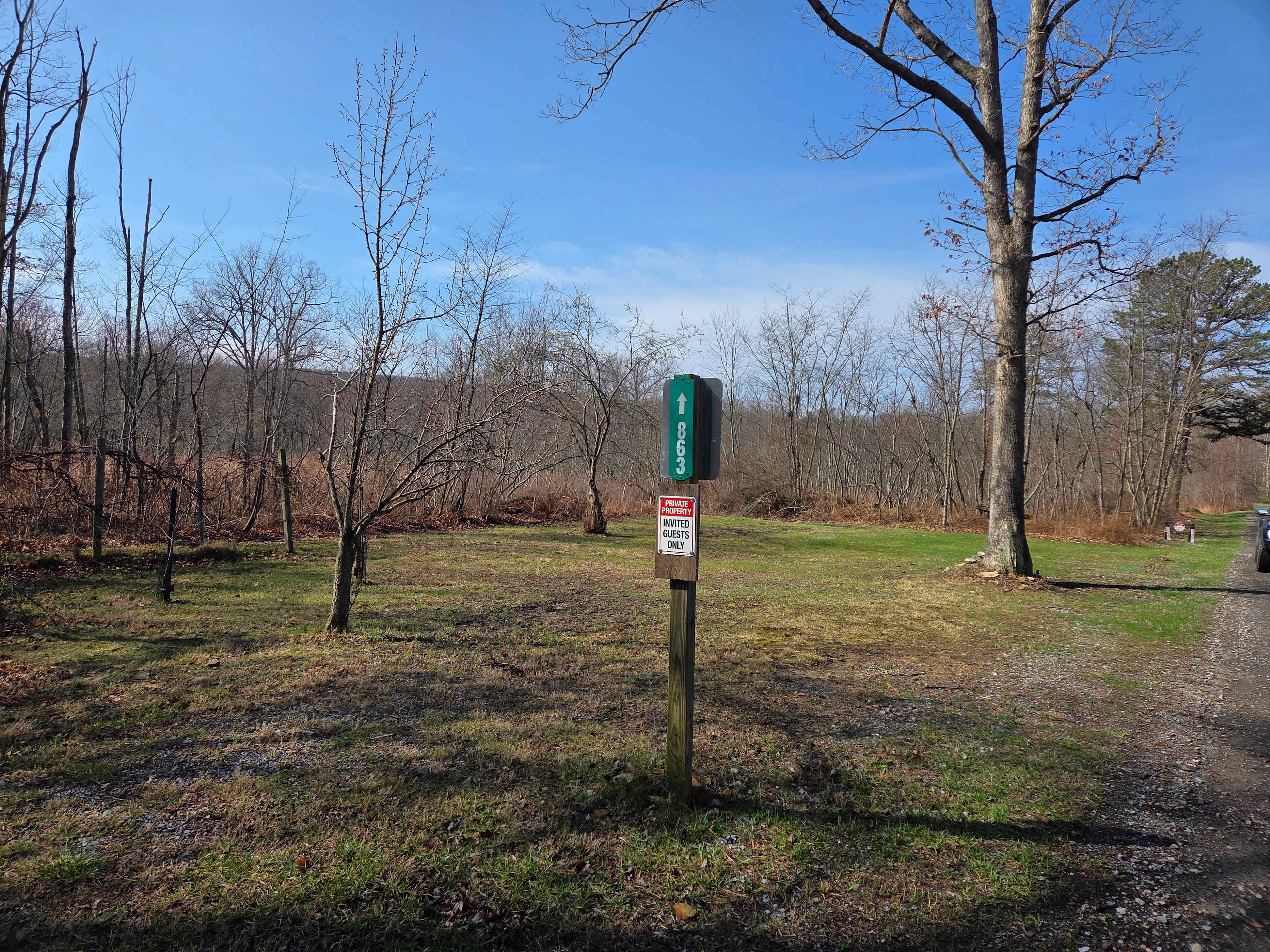 Picture of the site