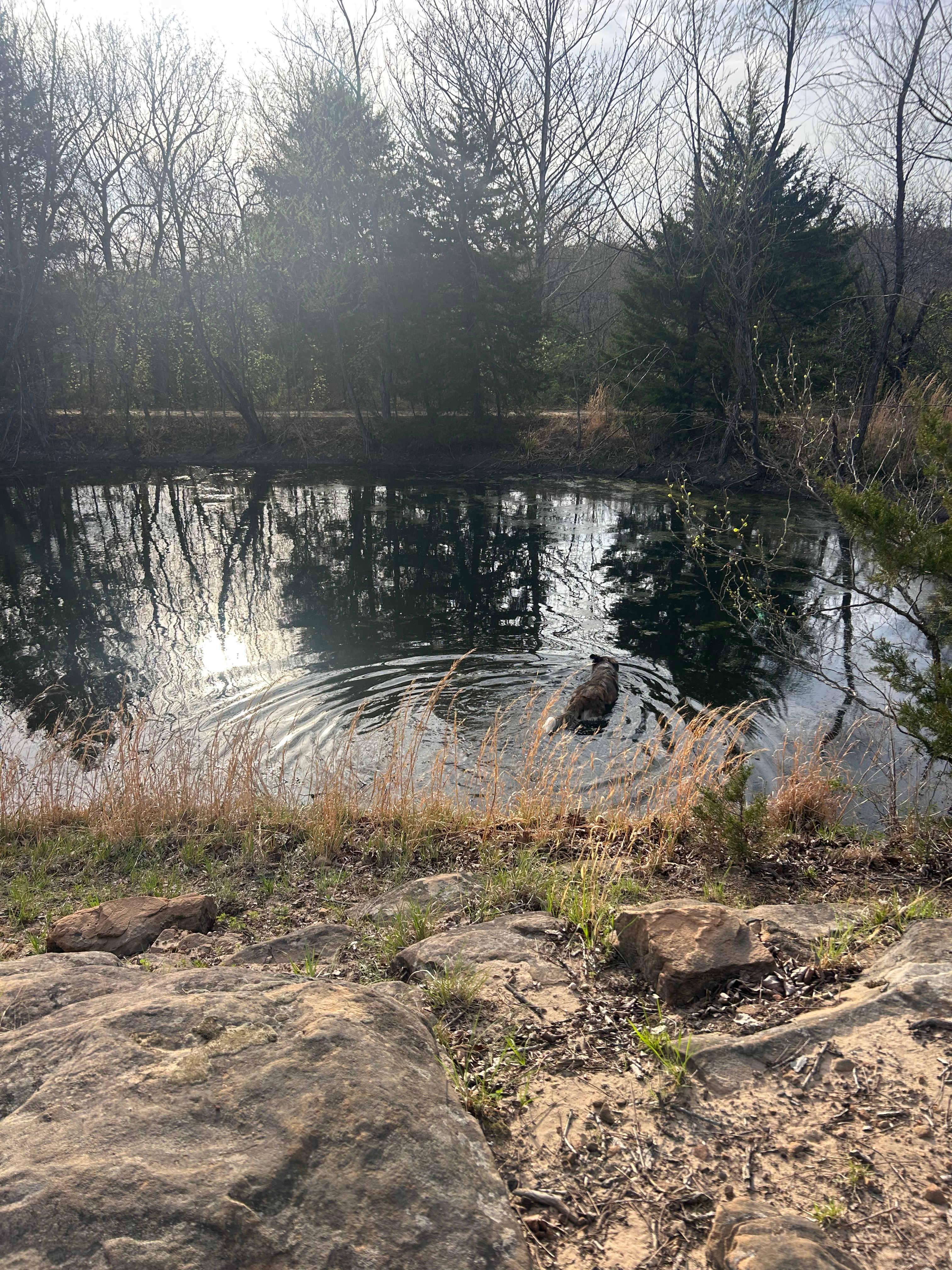 Three Ponds Community