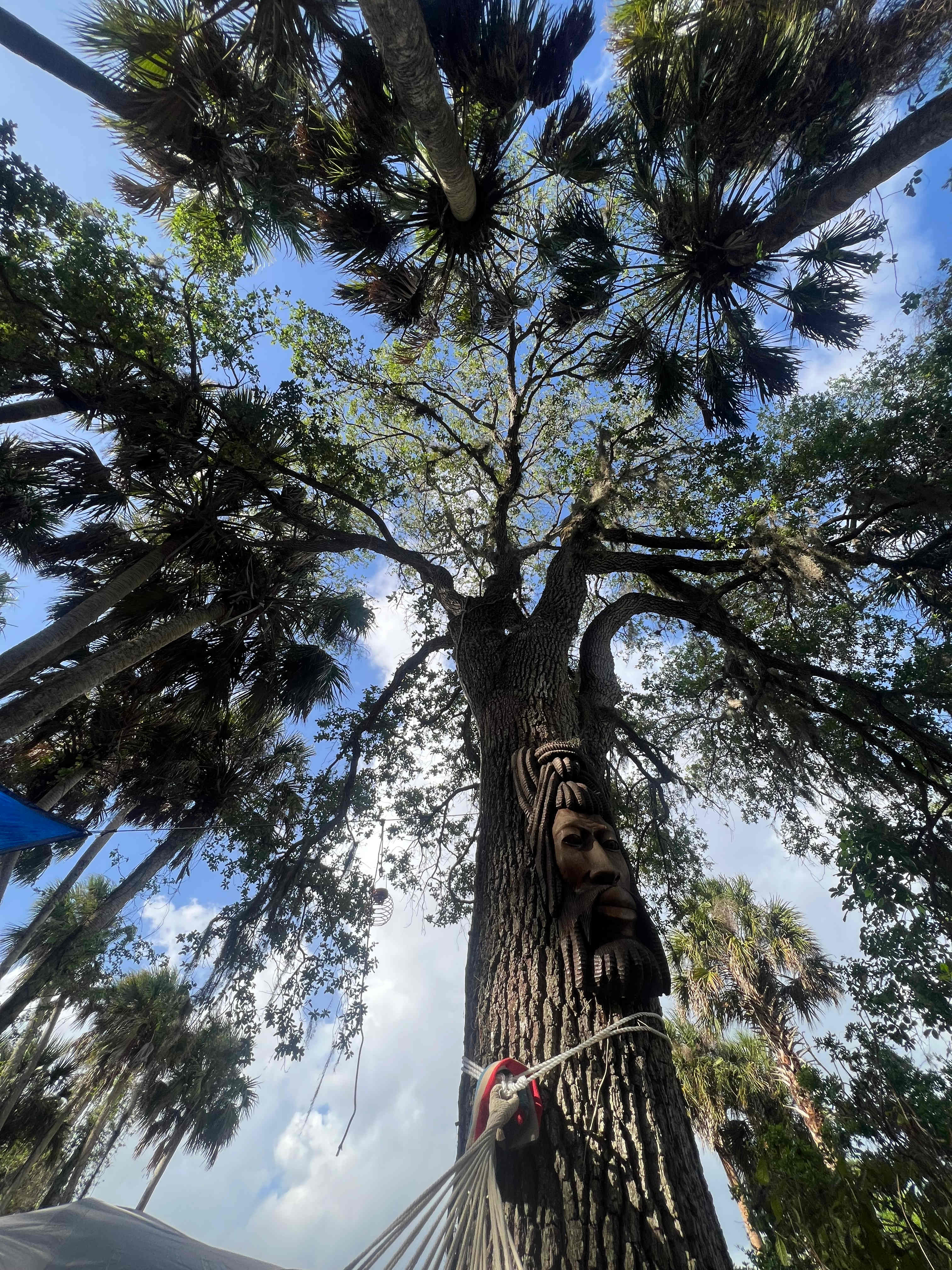 Taste of Old Florida