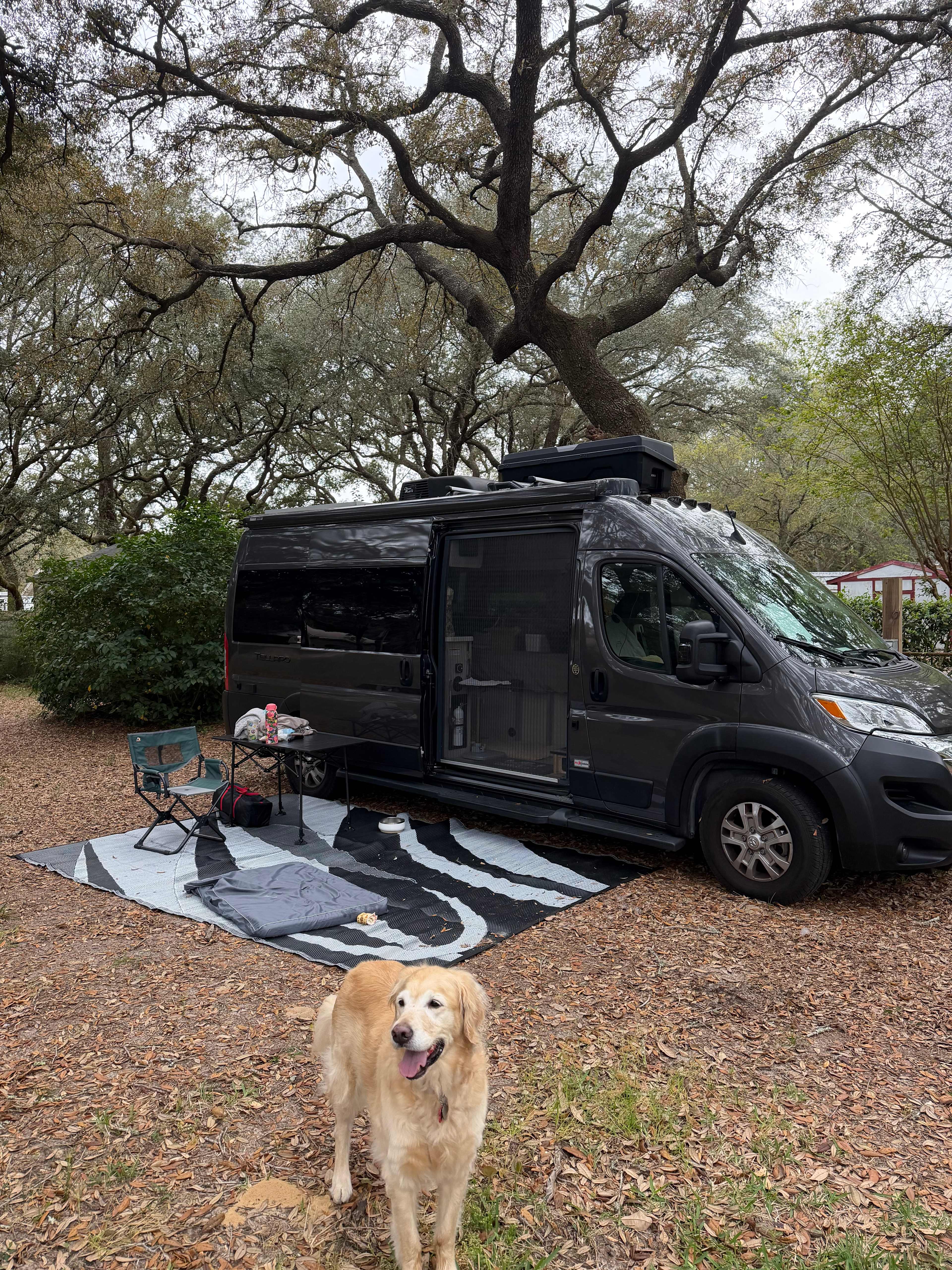 M & A’s Sweet Retreat