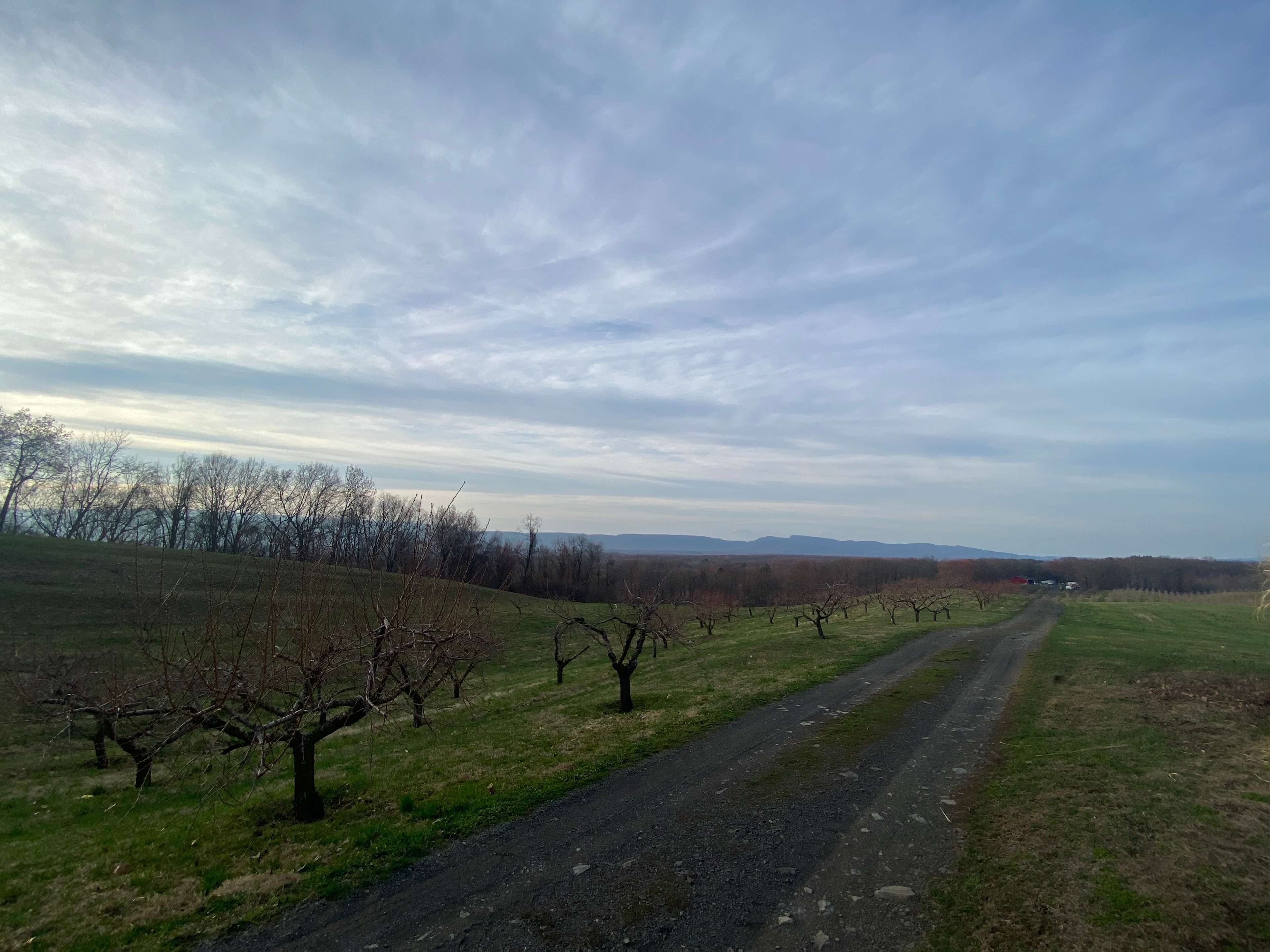 The Mountain Top @Wright's Farm