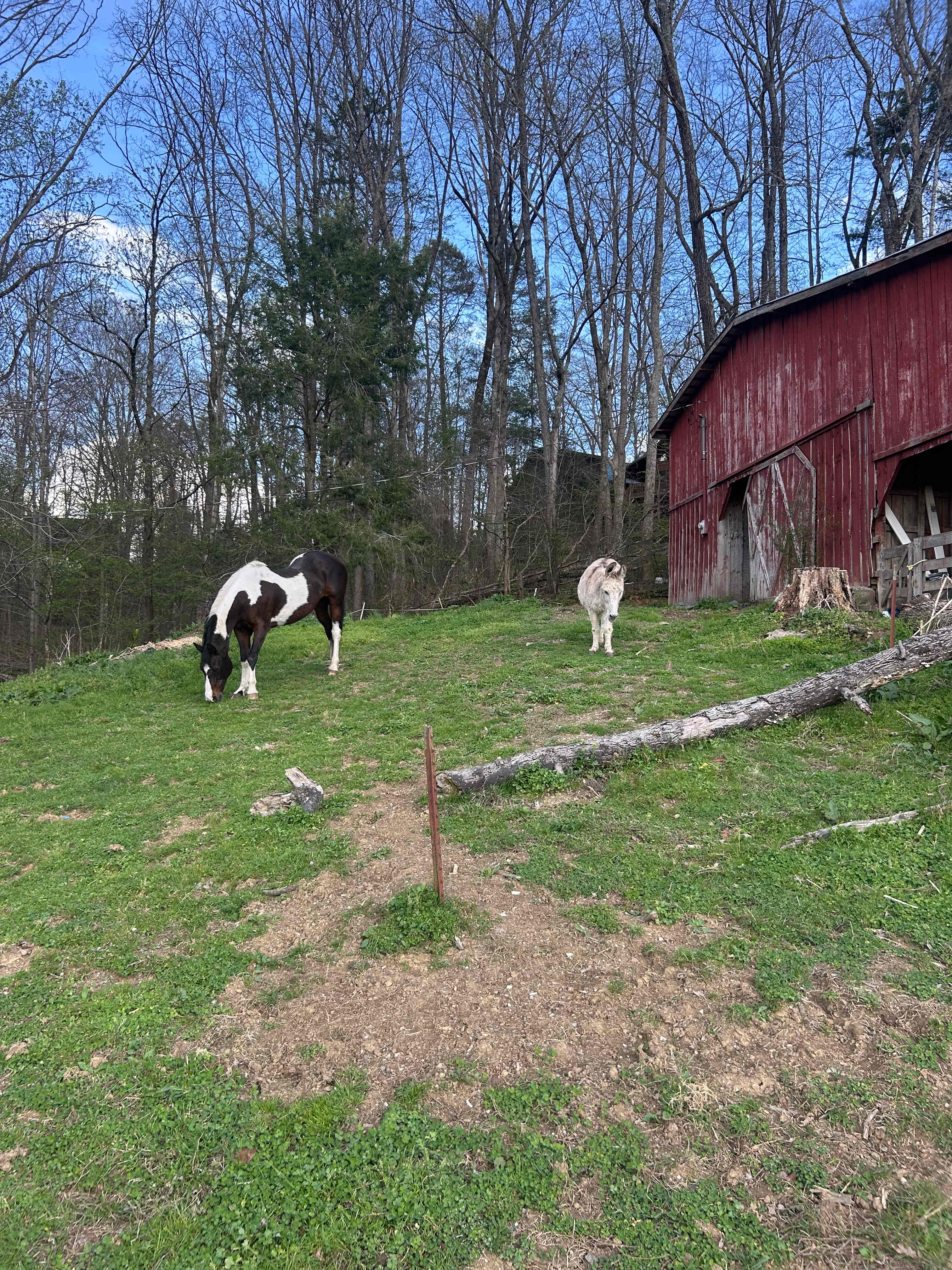 Critter Camp