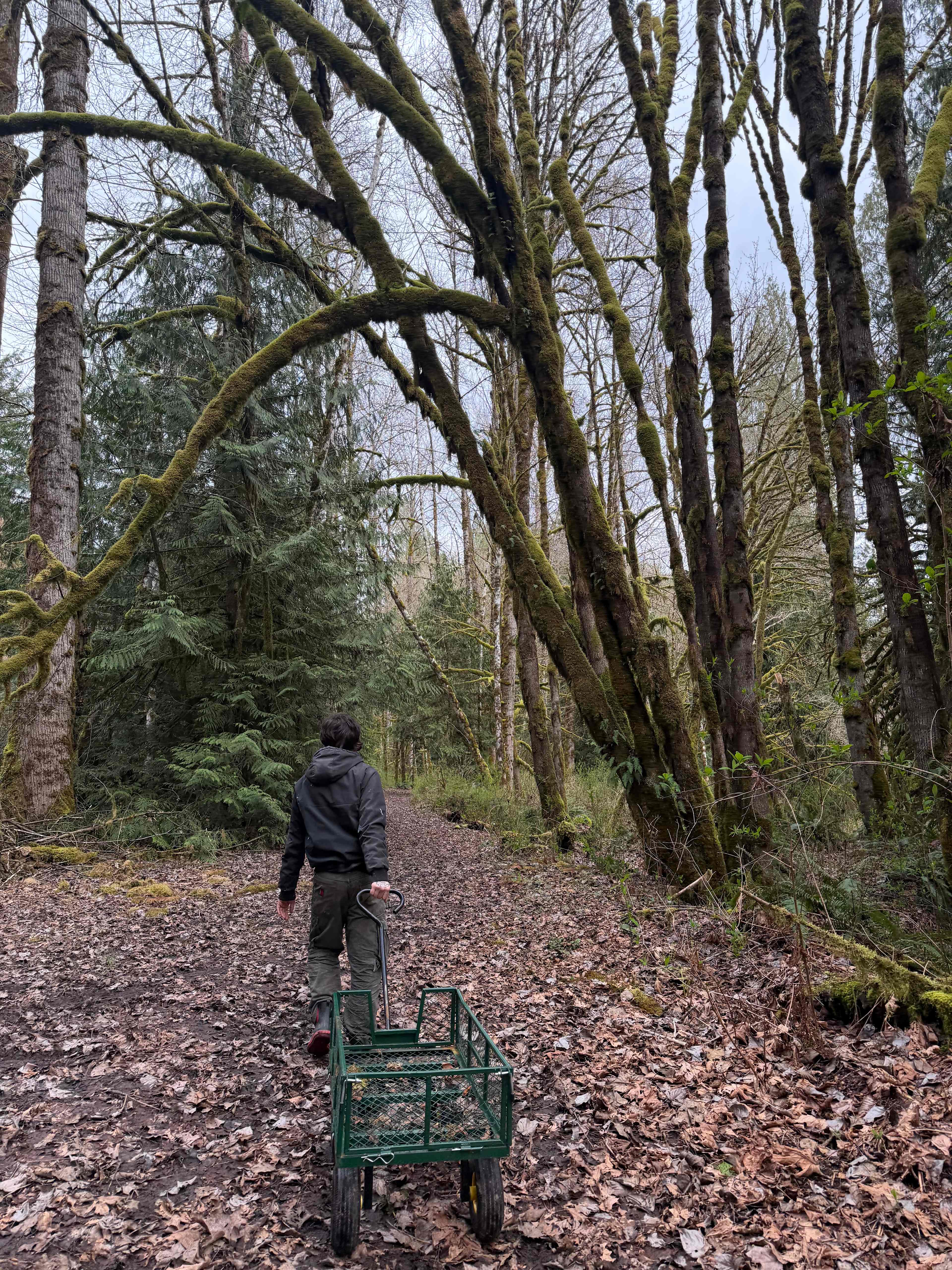 carrying the cart back 