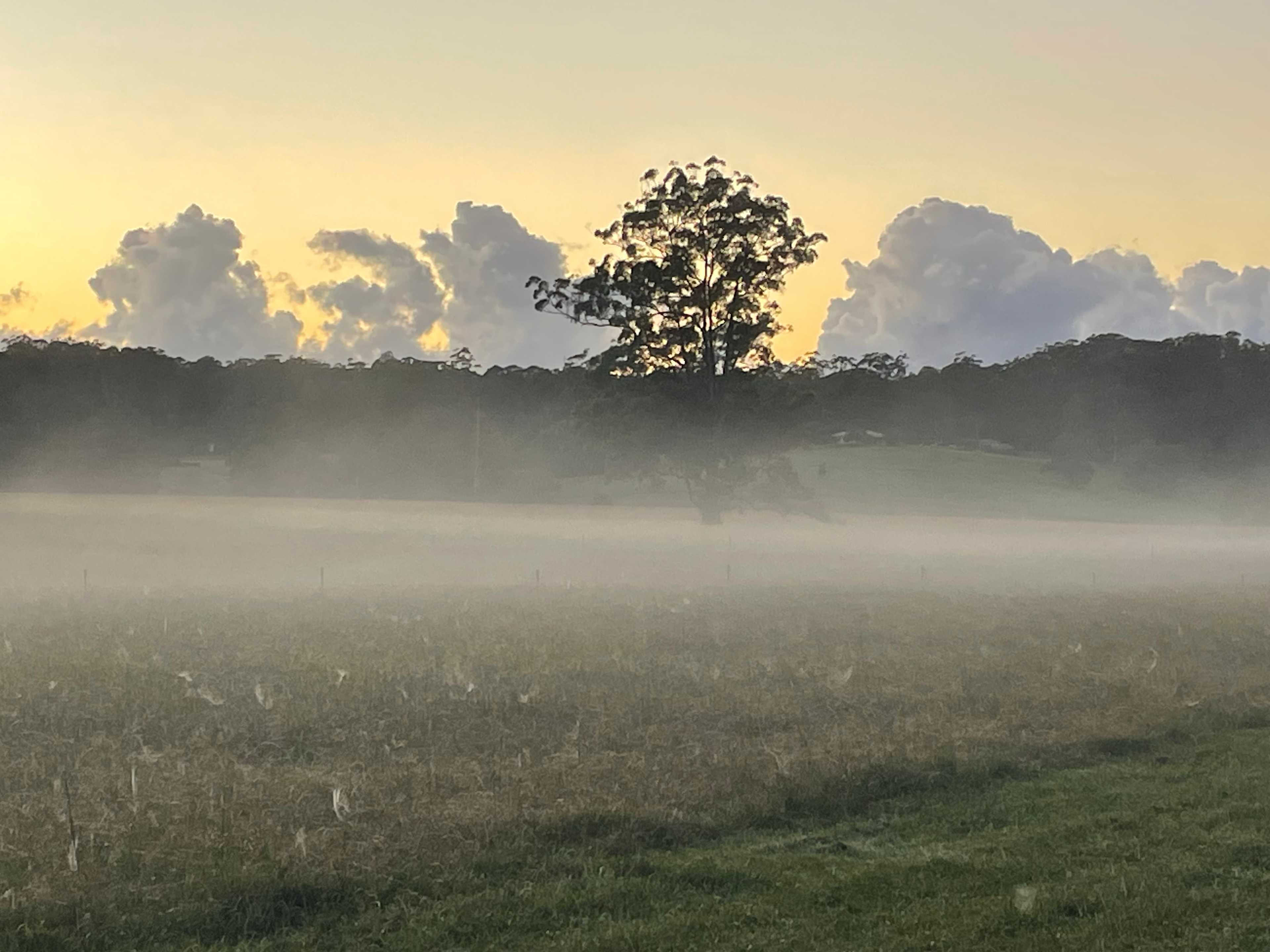 Bonville Camp Ground