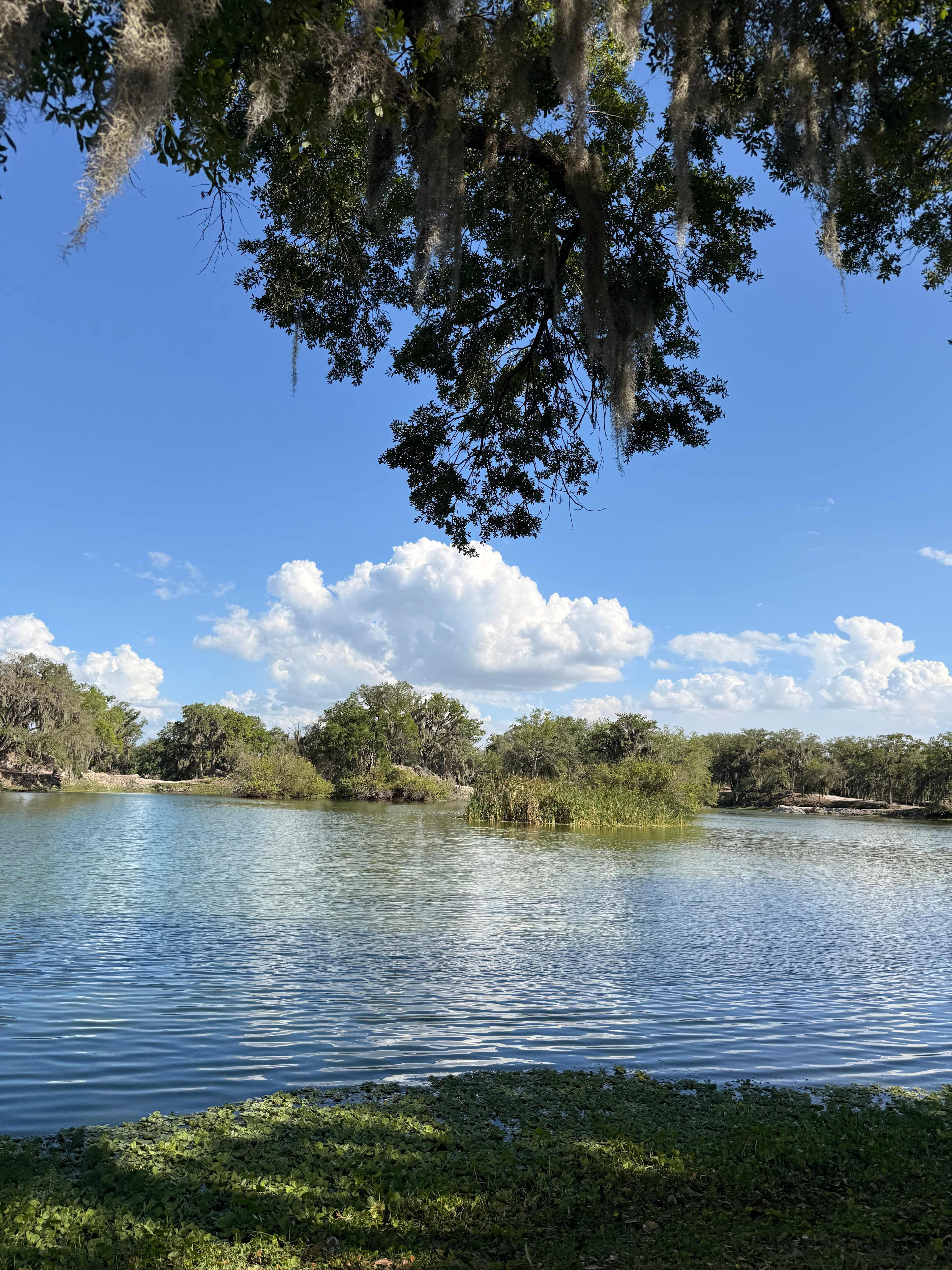 Wilderness Shores Ranch Campground!