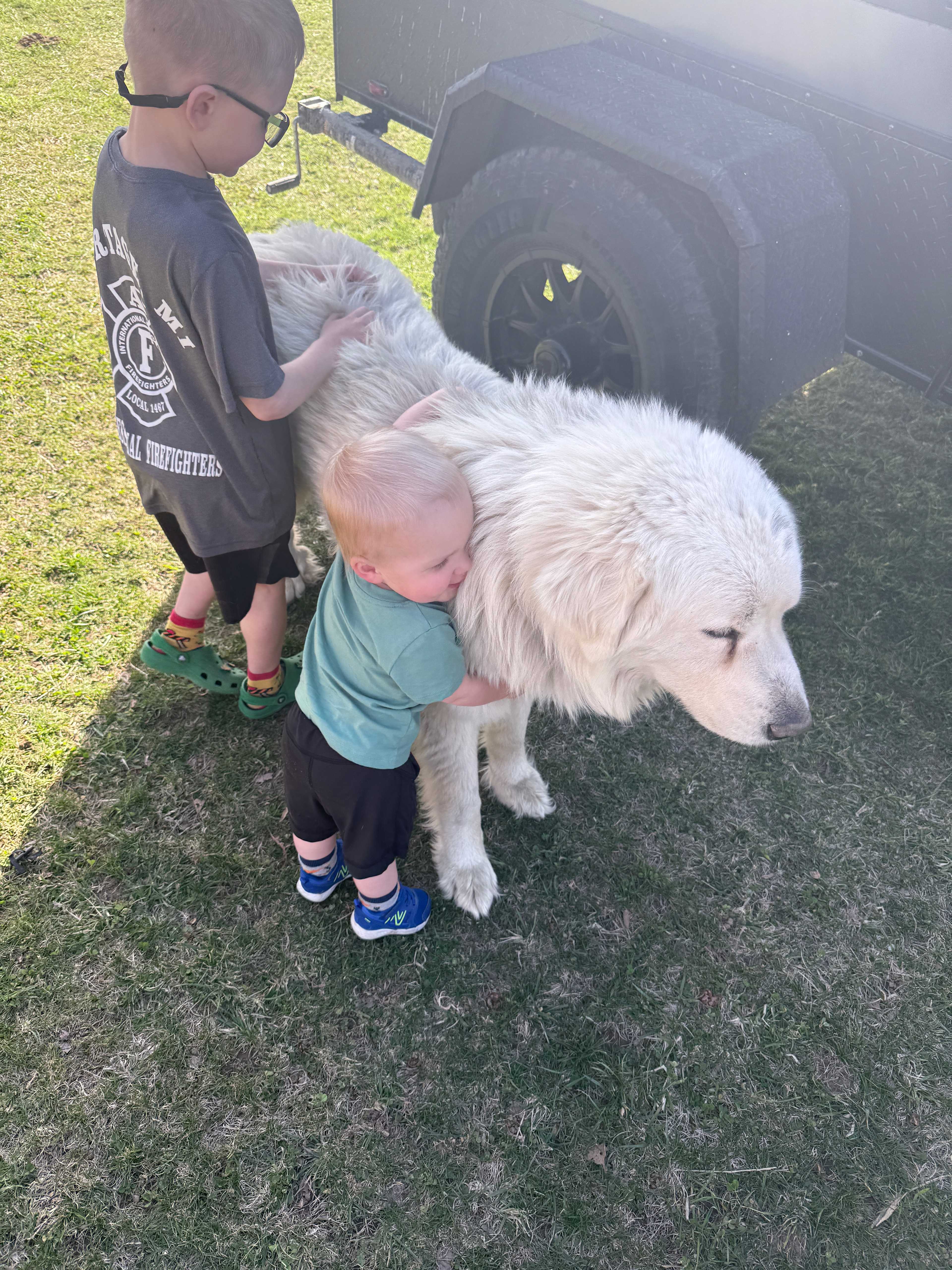 Bentley was so sweet and fluffy!!