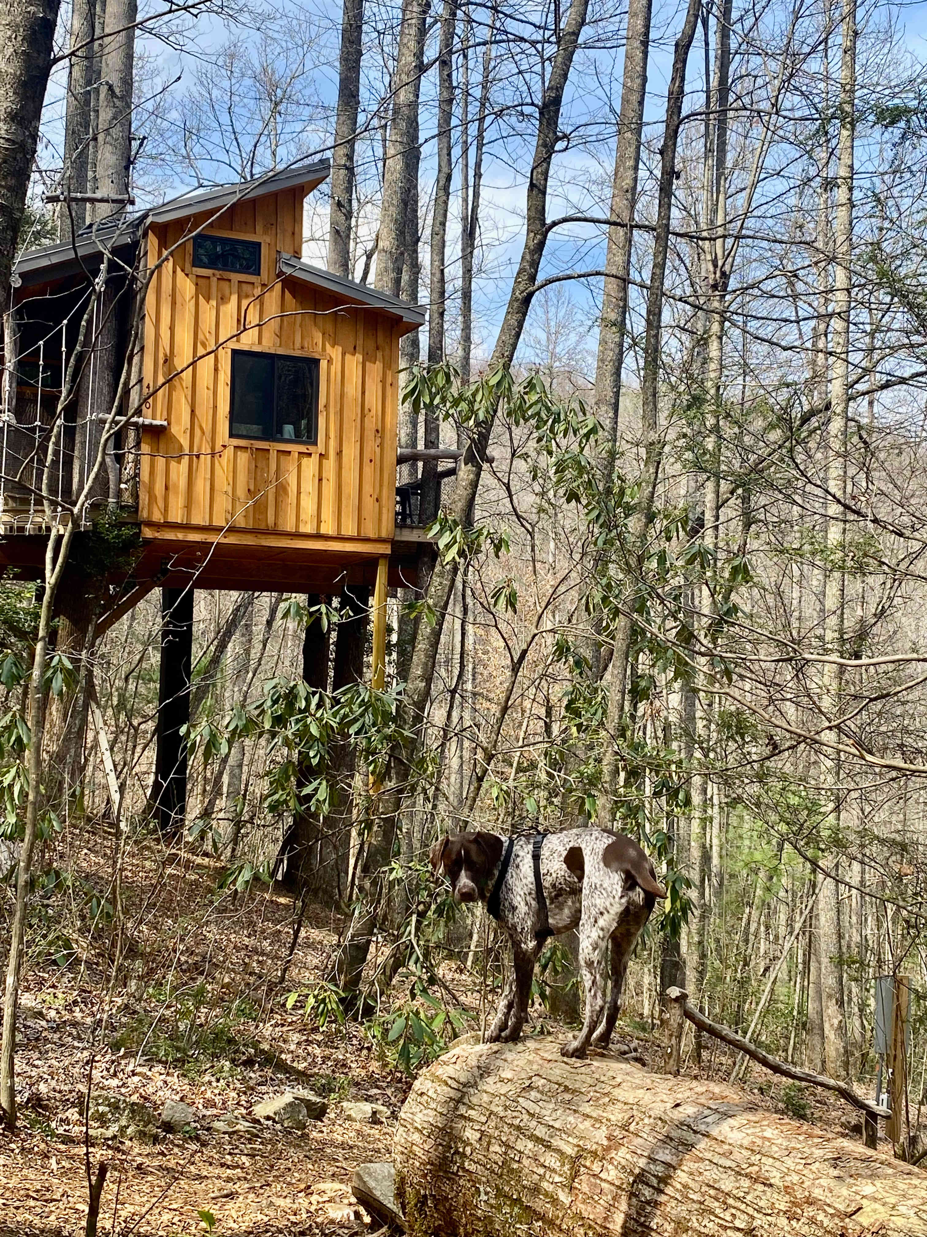 Cold Spring Basecamp