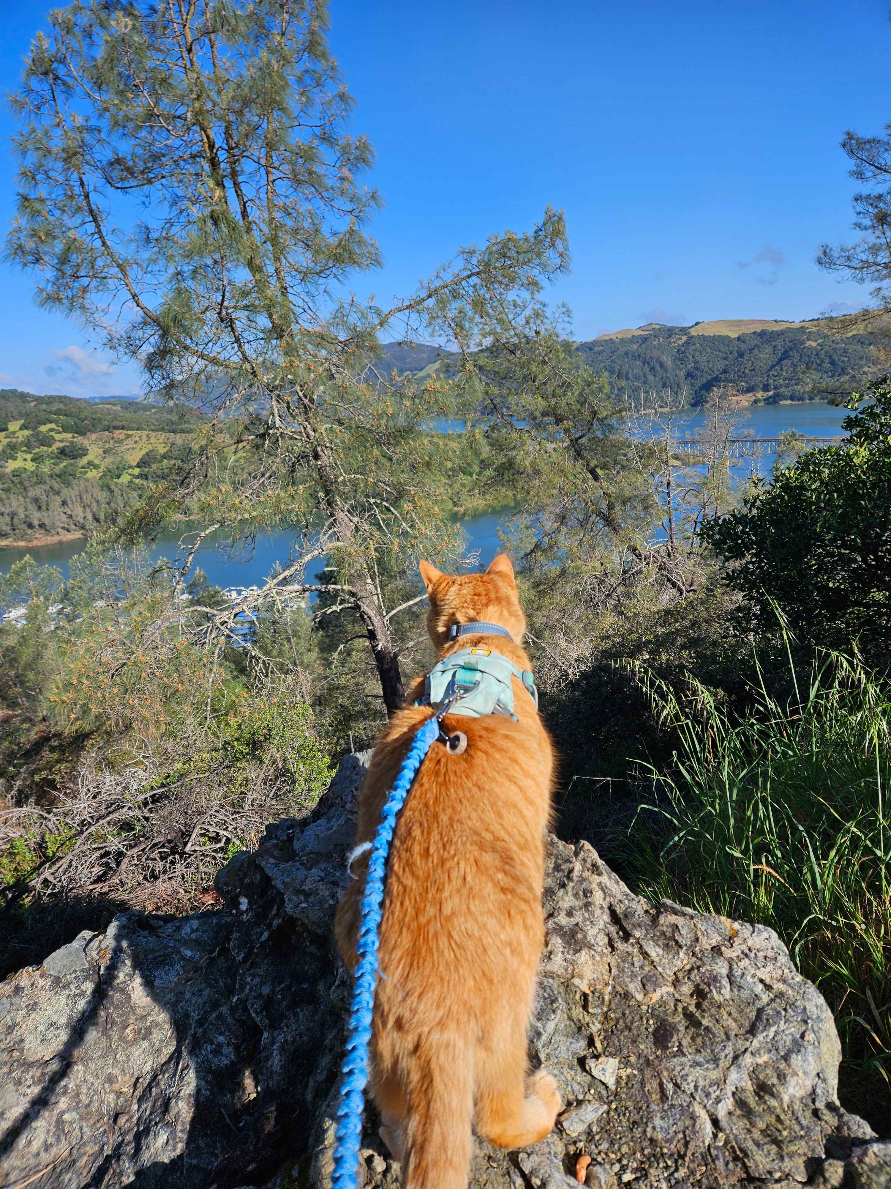 The Ranch at Lake Sonoma