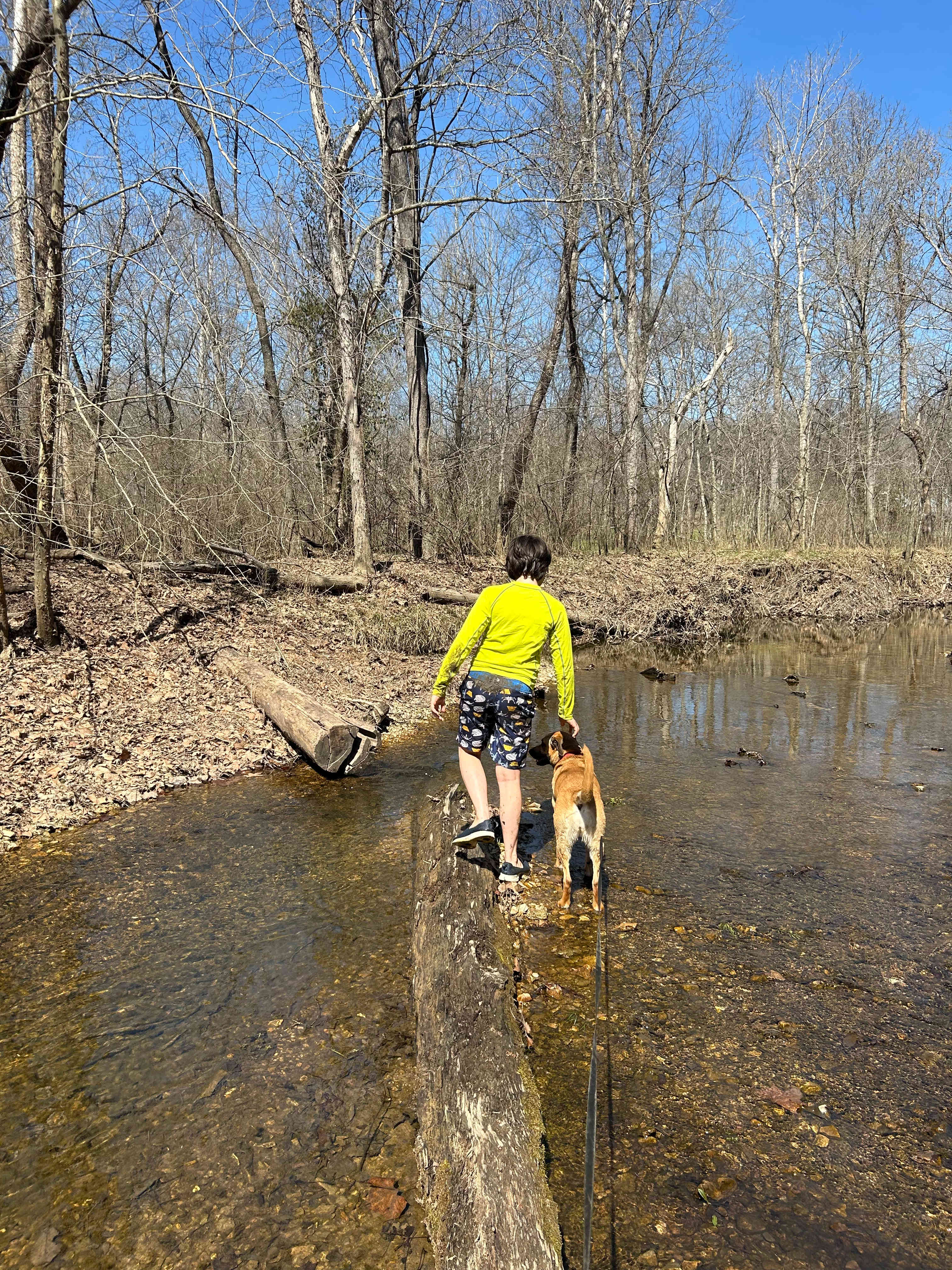 Hummingbird Hollow Outdoors