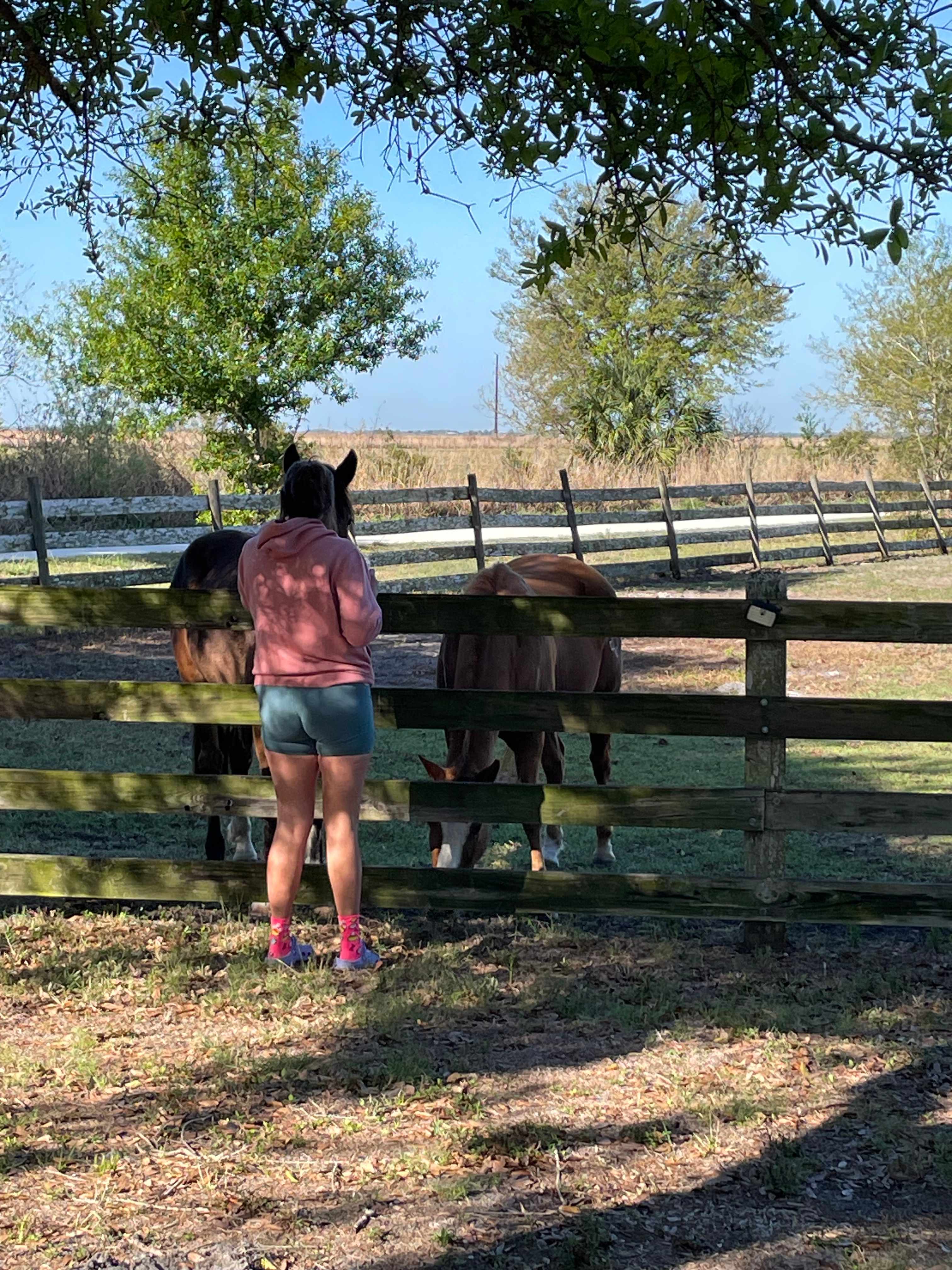 Silver Bullet Stables
