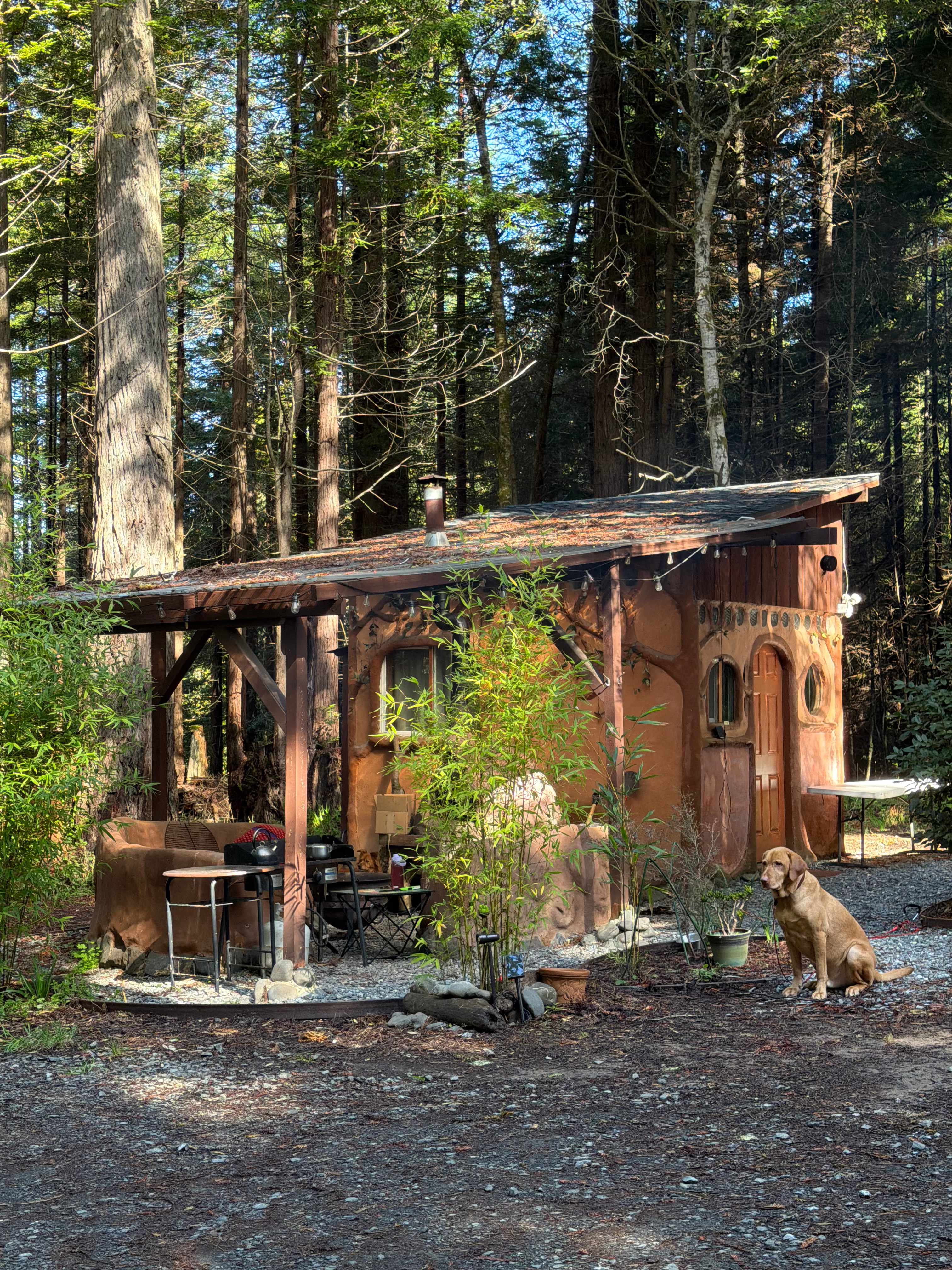 Ocean-view Redwood Forest Glamping