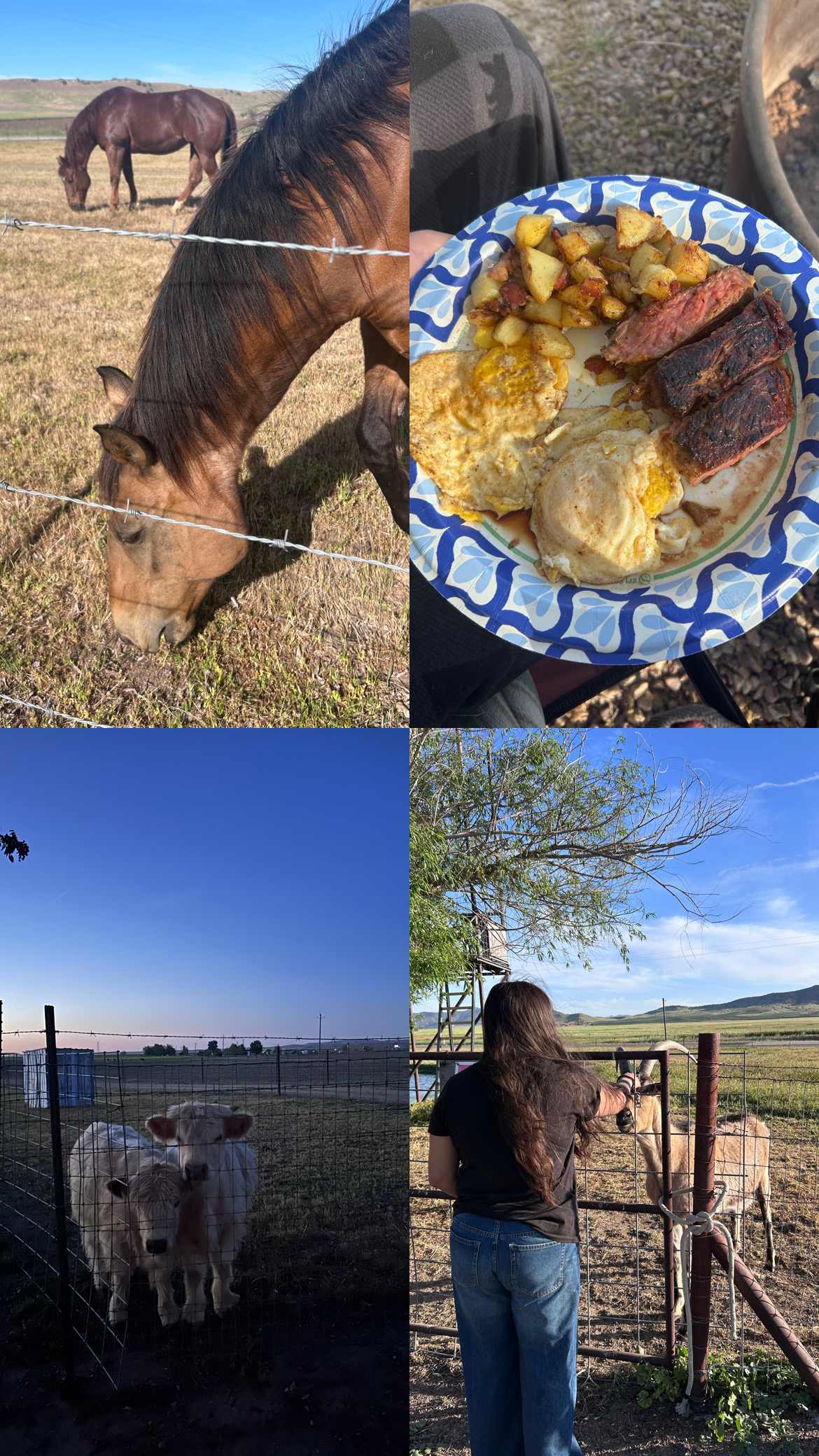 Camp Tule Elk