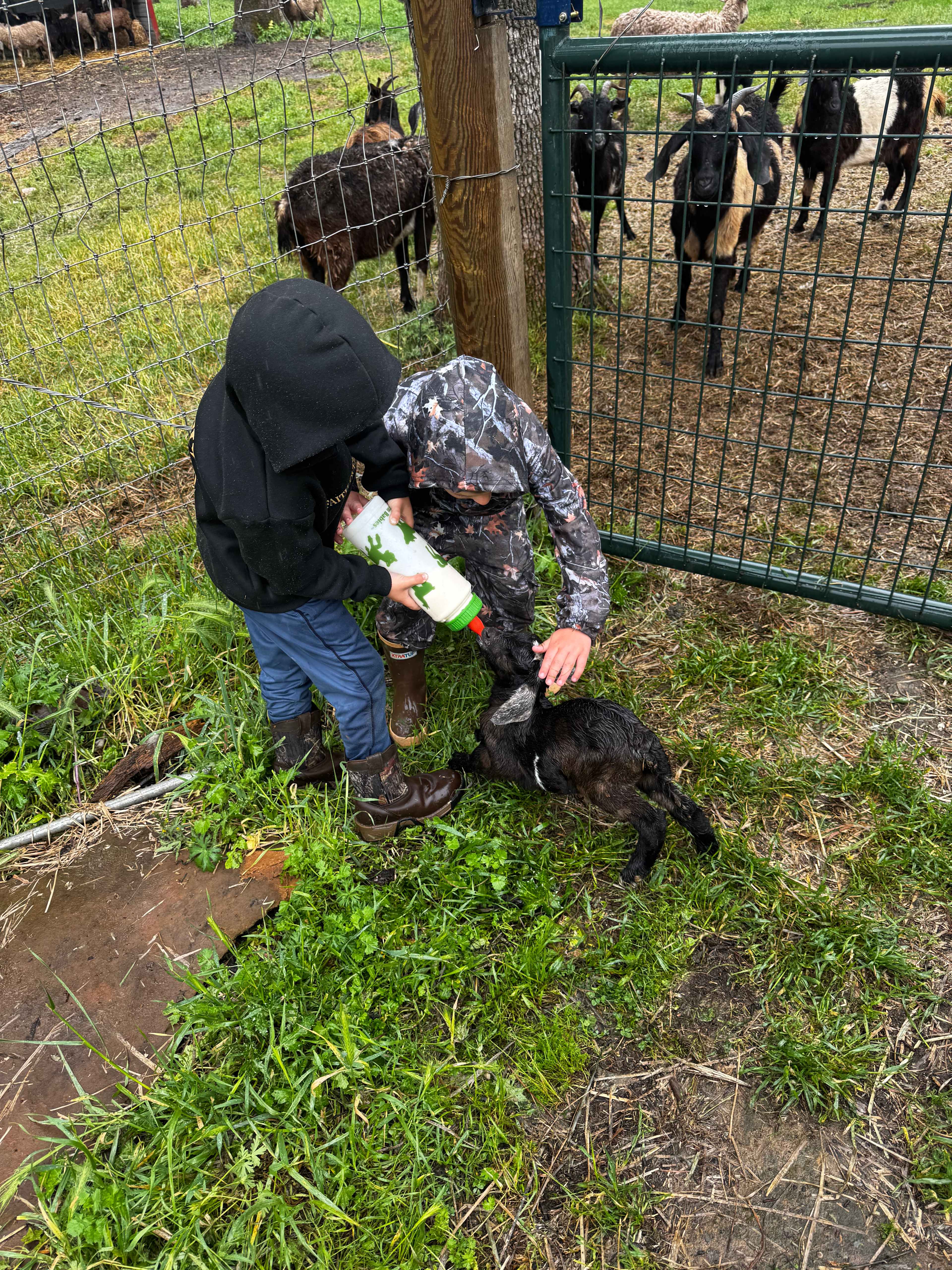 Ascension Ranch
