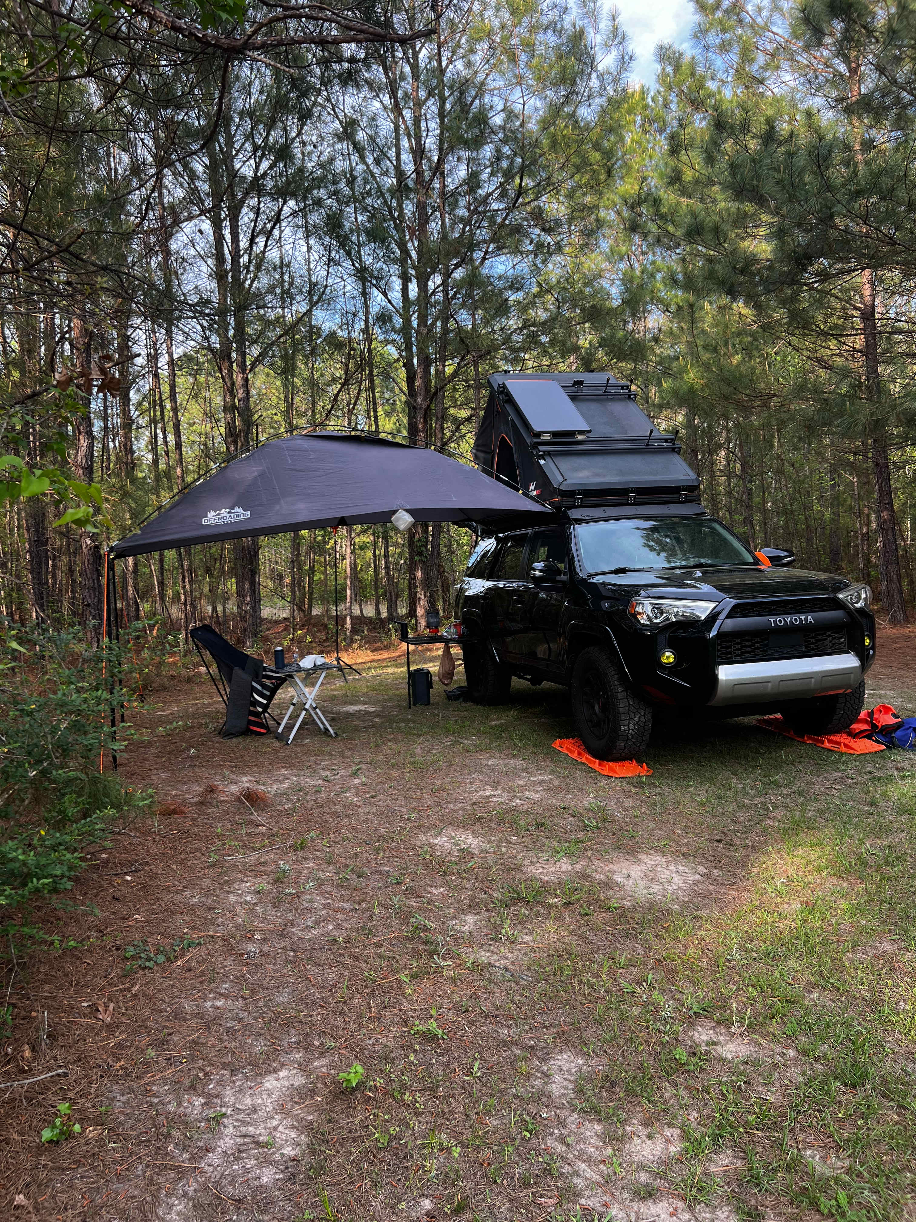 Pine And Oak Campsite