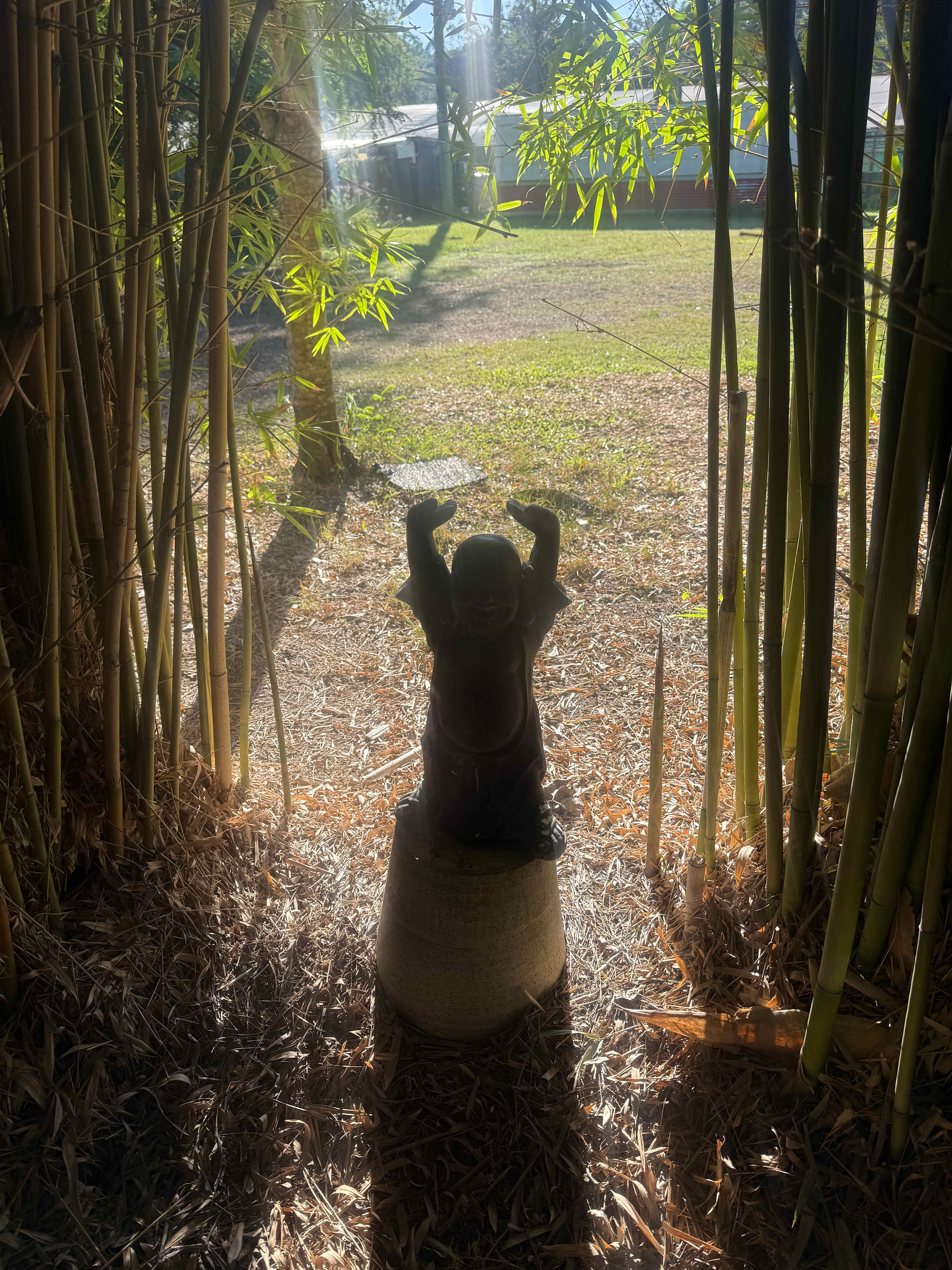 Relaxed Tamborine Village Farm Camp