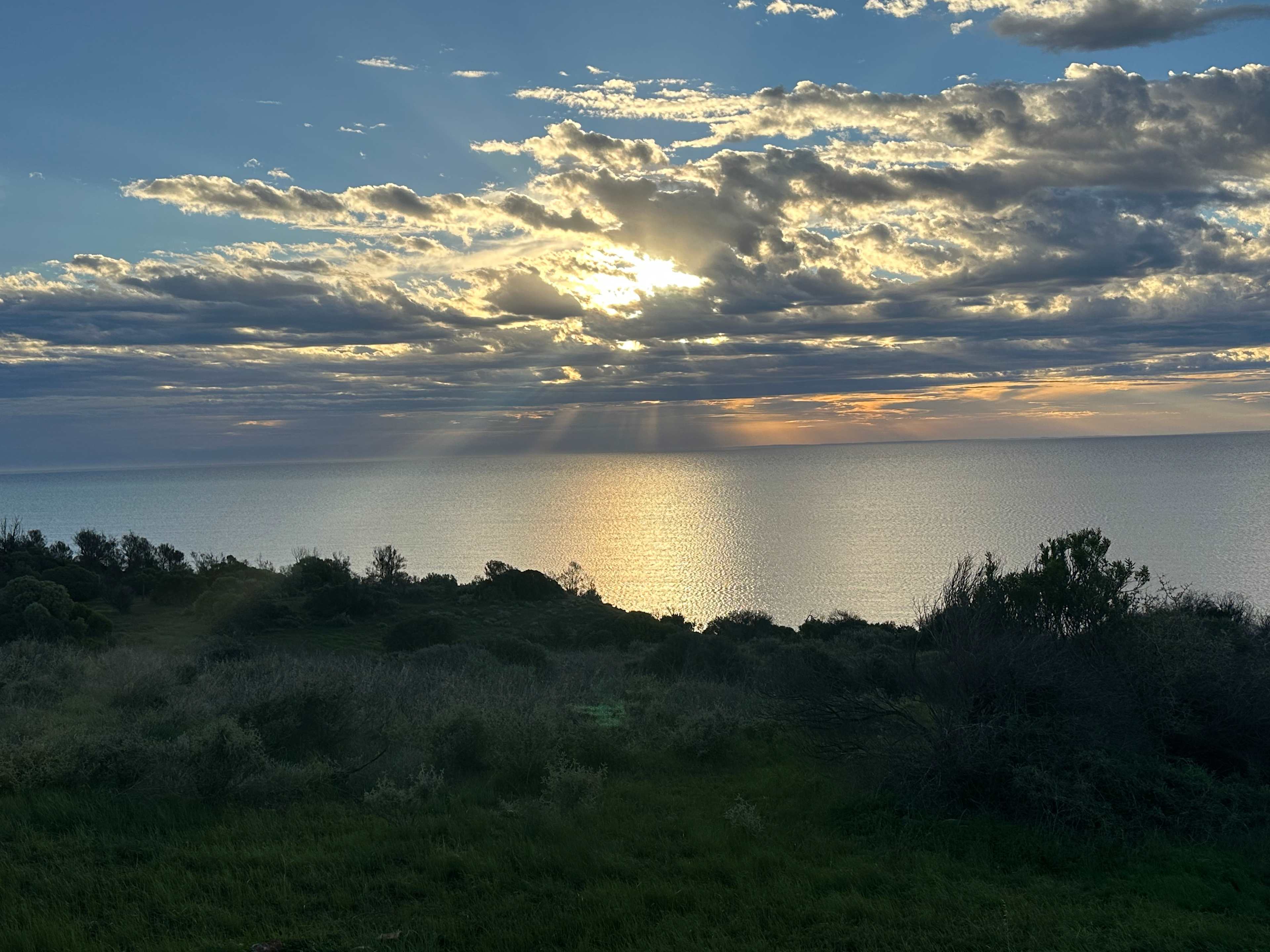 Evening 