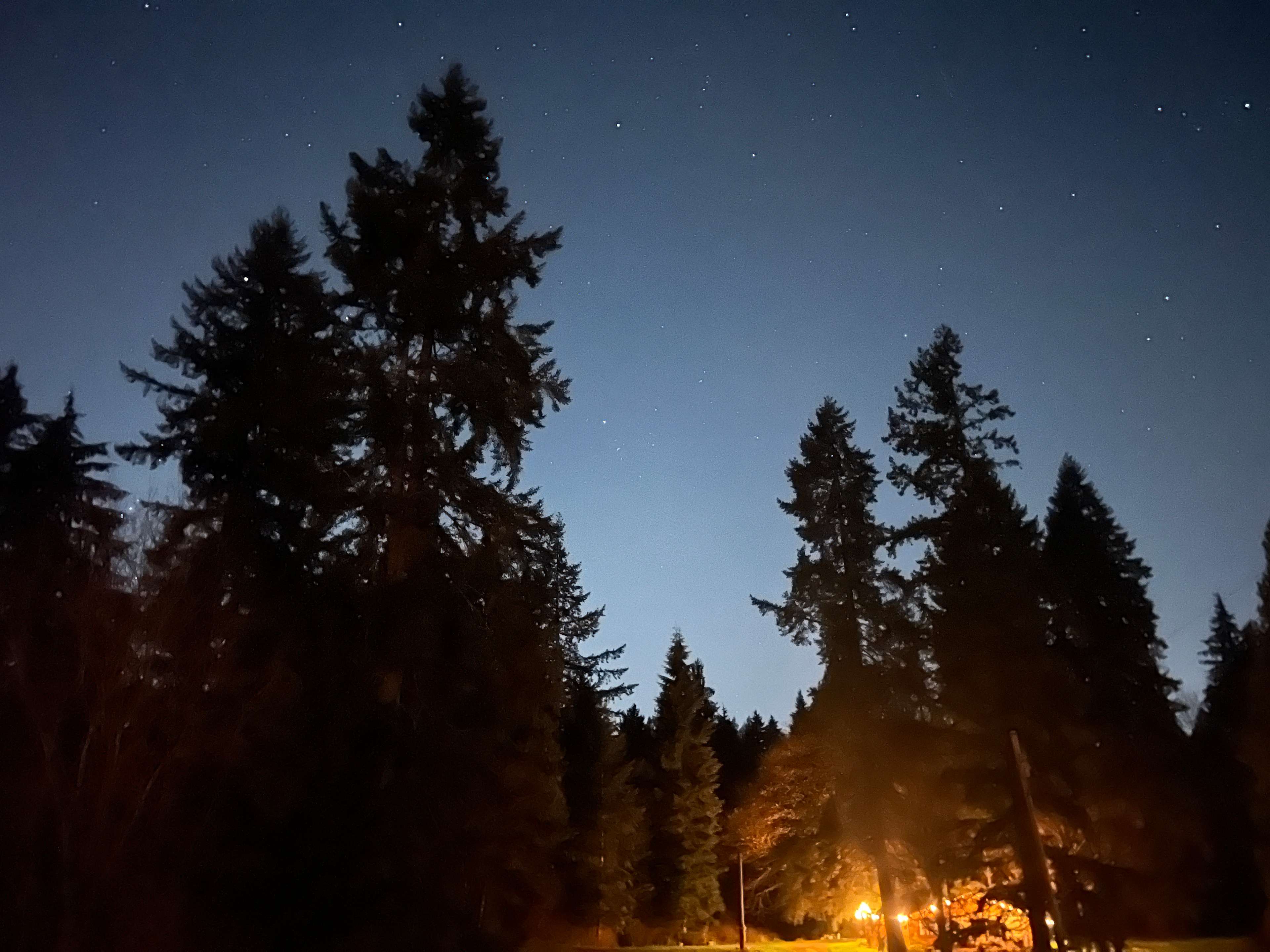Night Sky