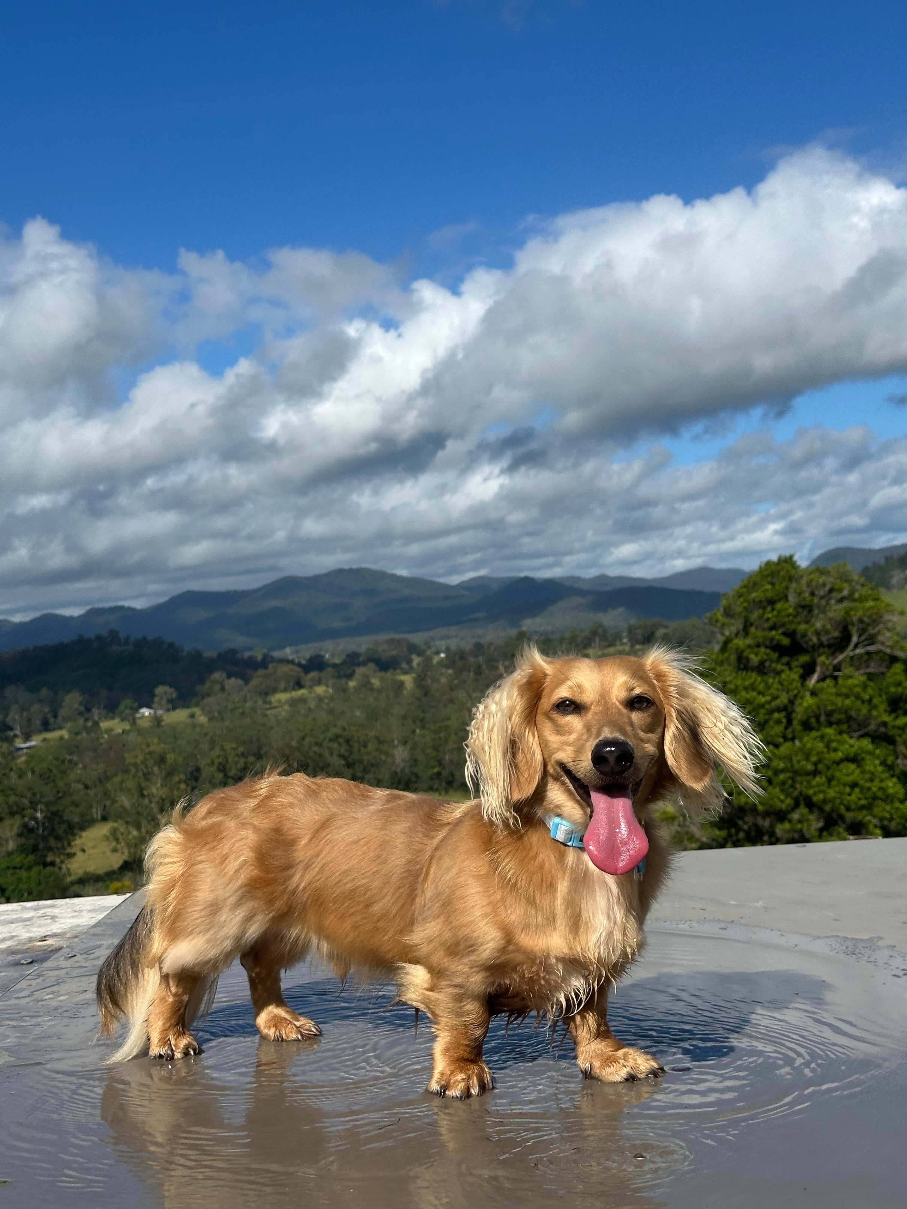 Top of the lookout 🤩