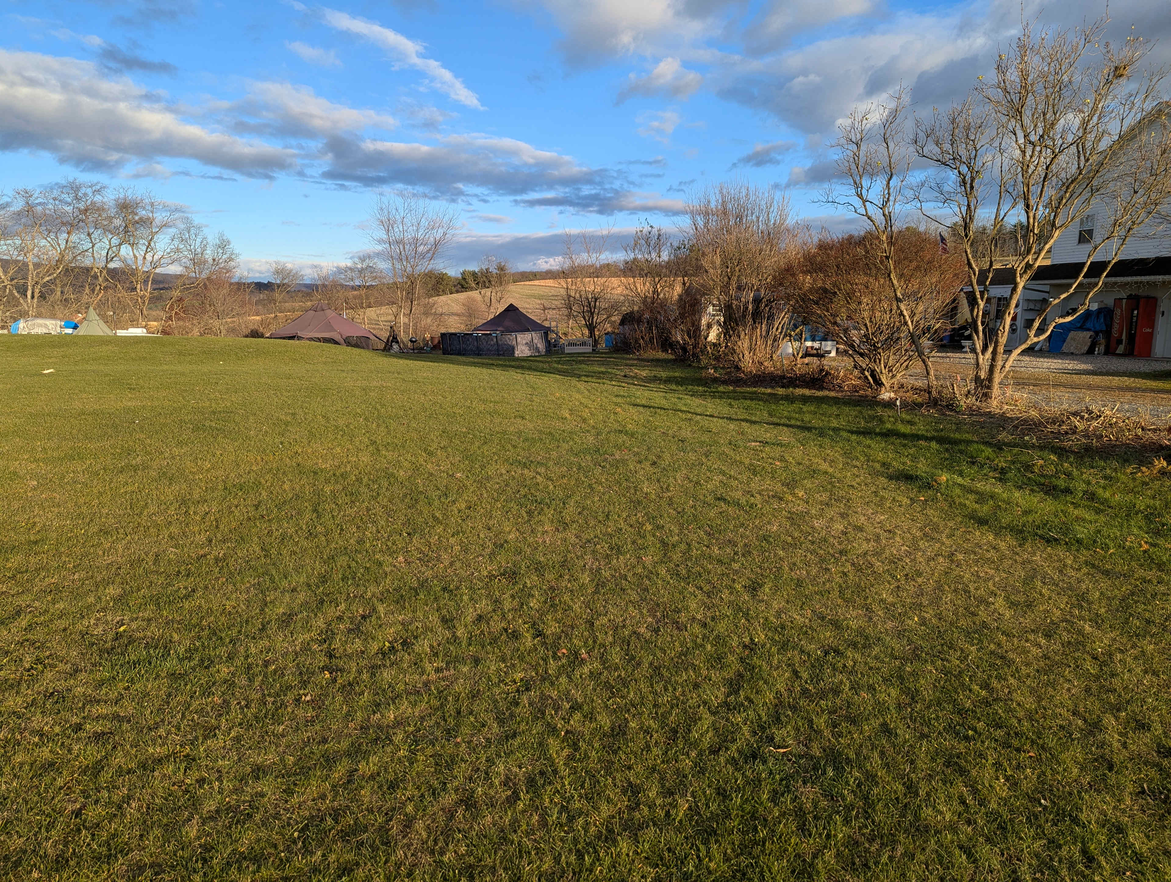 Picture of the site