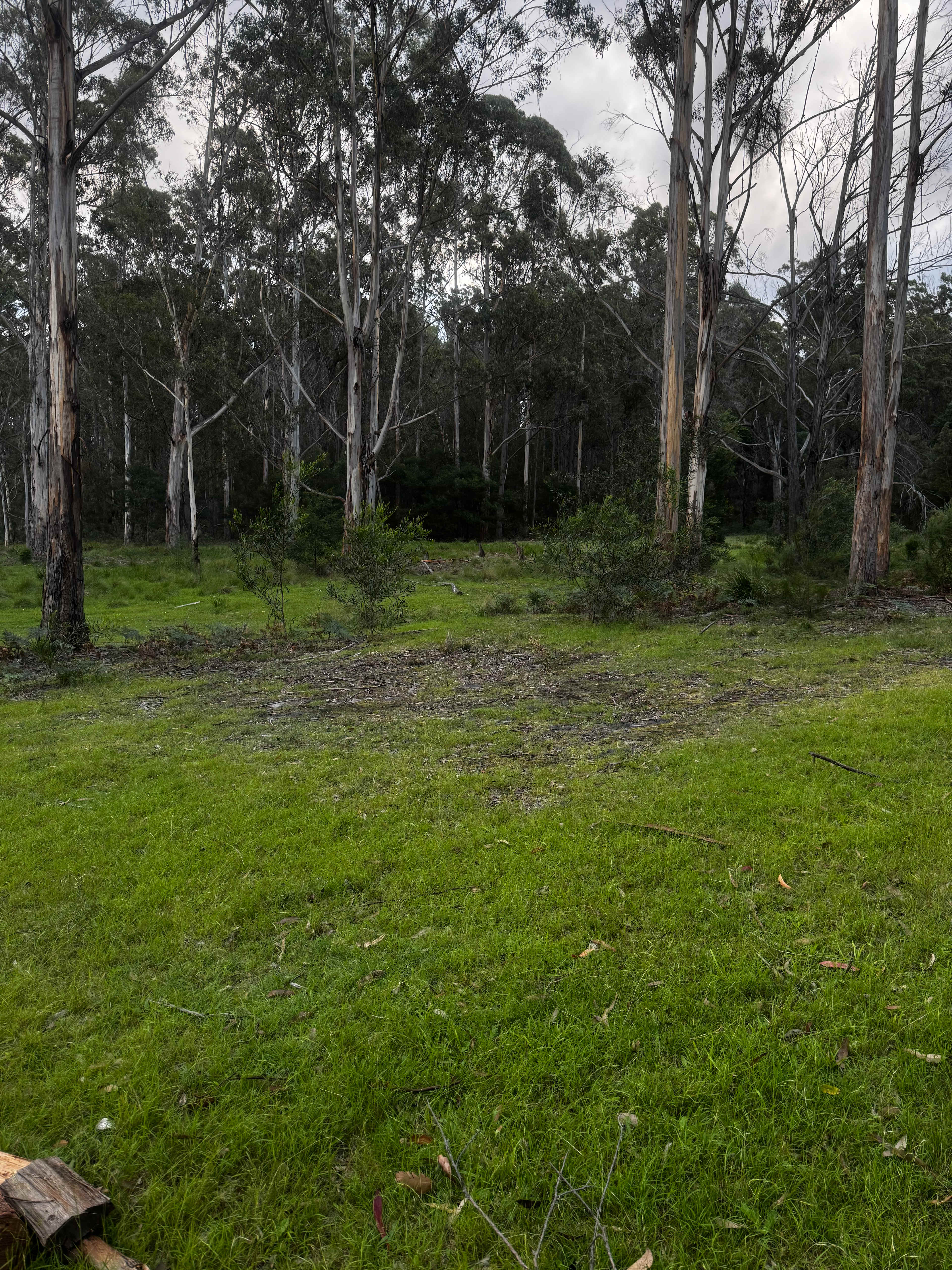 Merimbula Camping