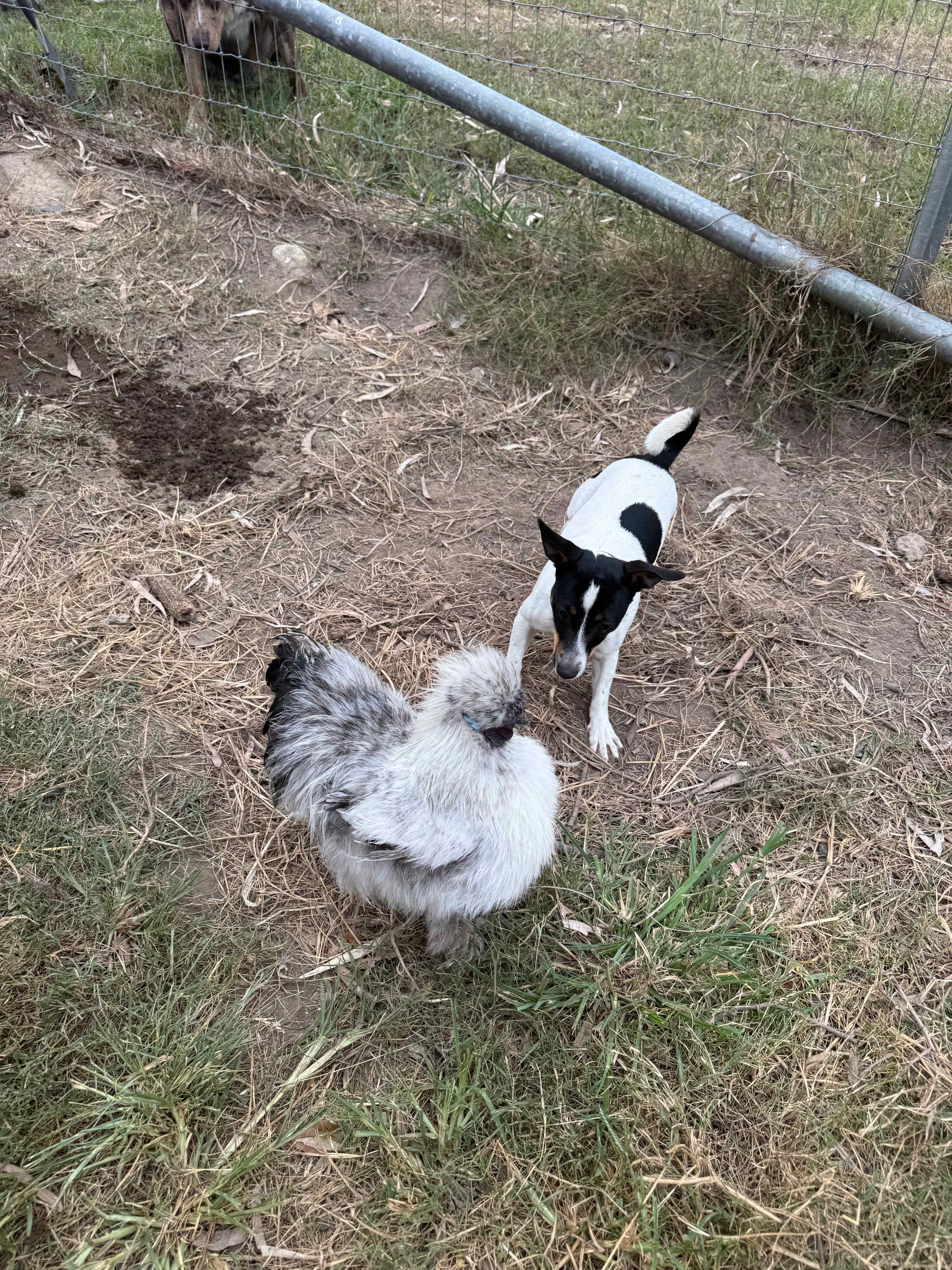 Clarence Riverview Lodge Glamping