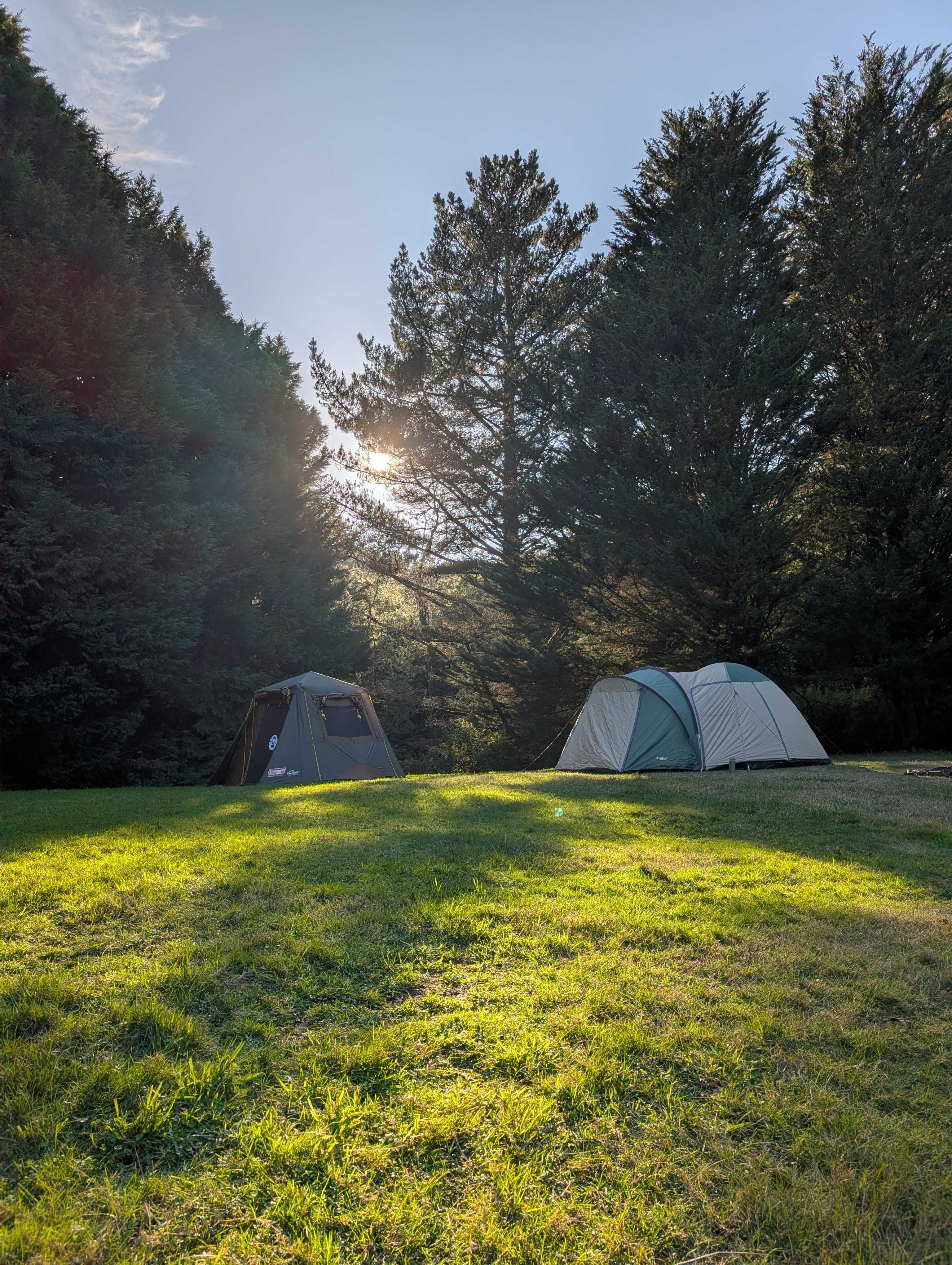 Waldheim - Our Home in the Forest