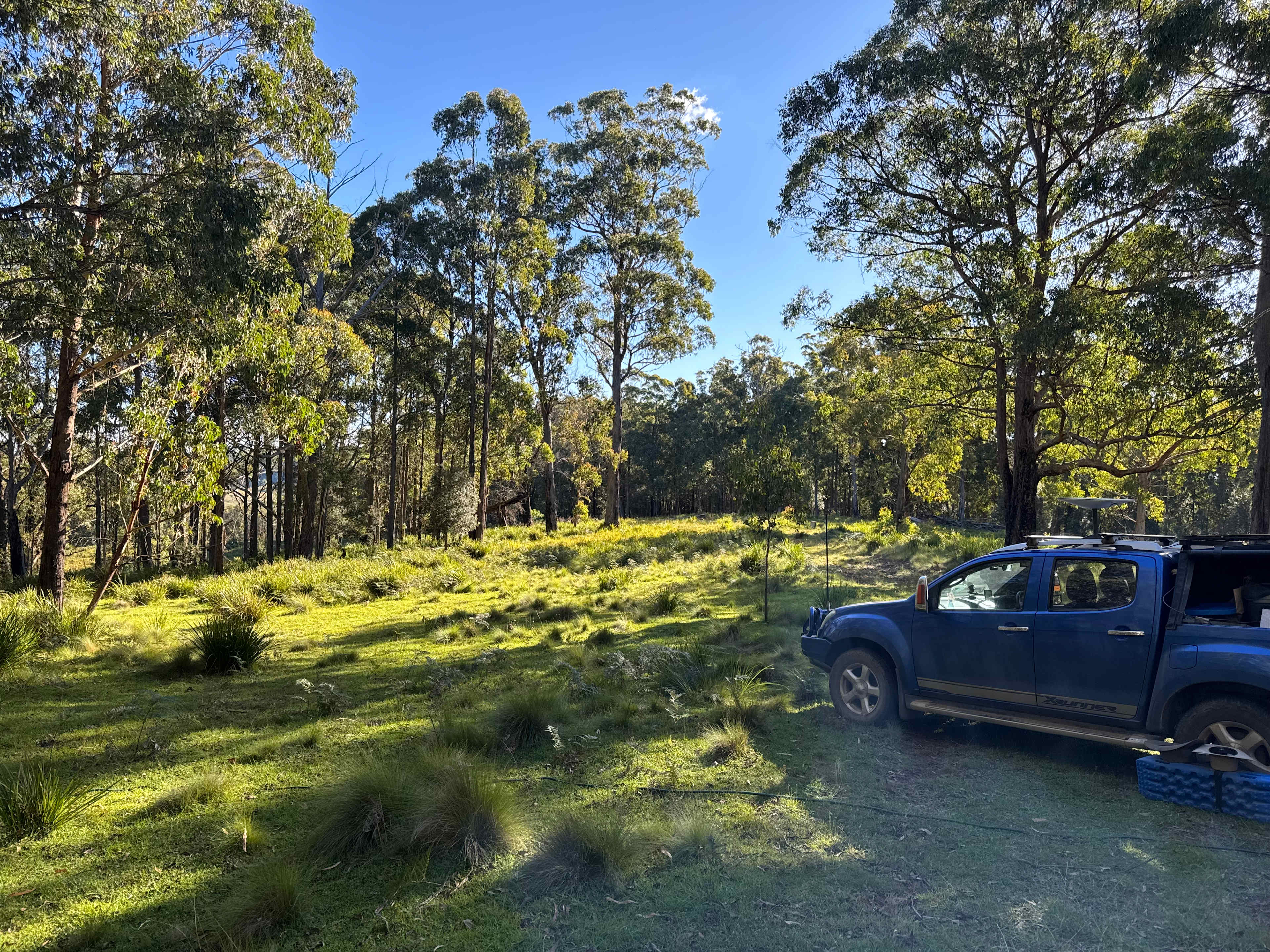 Orana