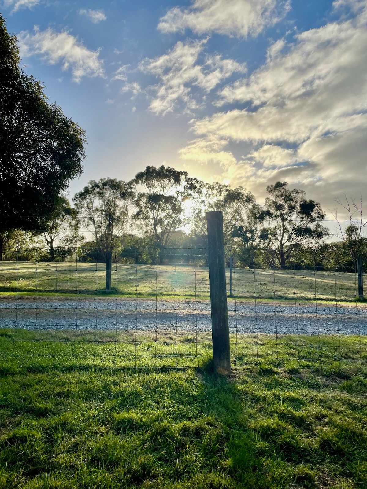 Clancy Springs, South Gippsland