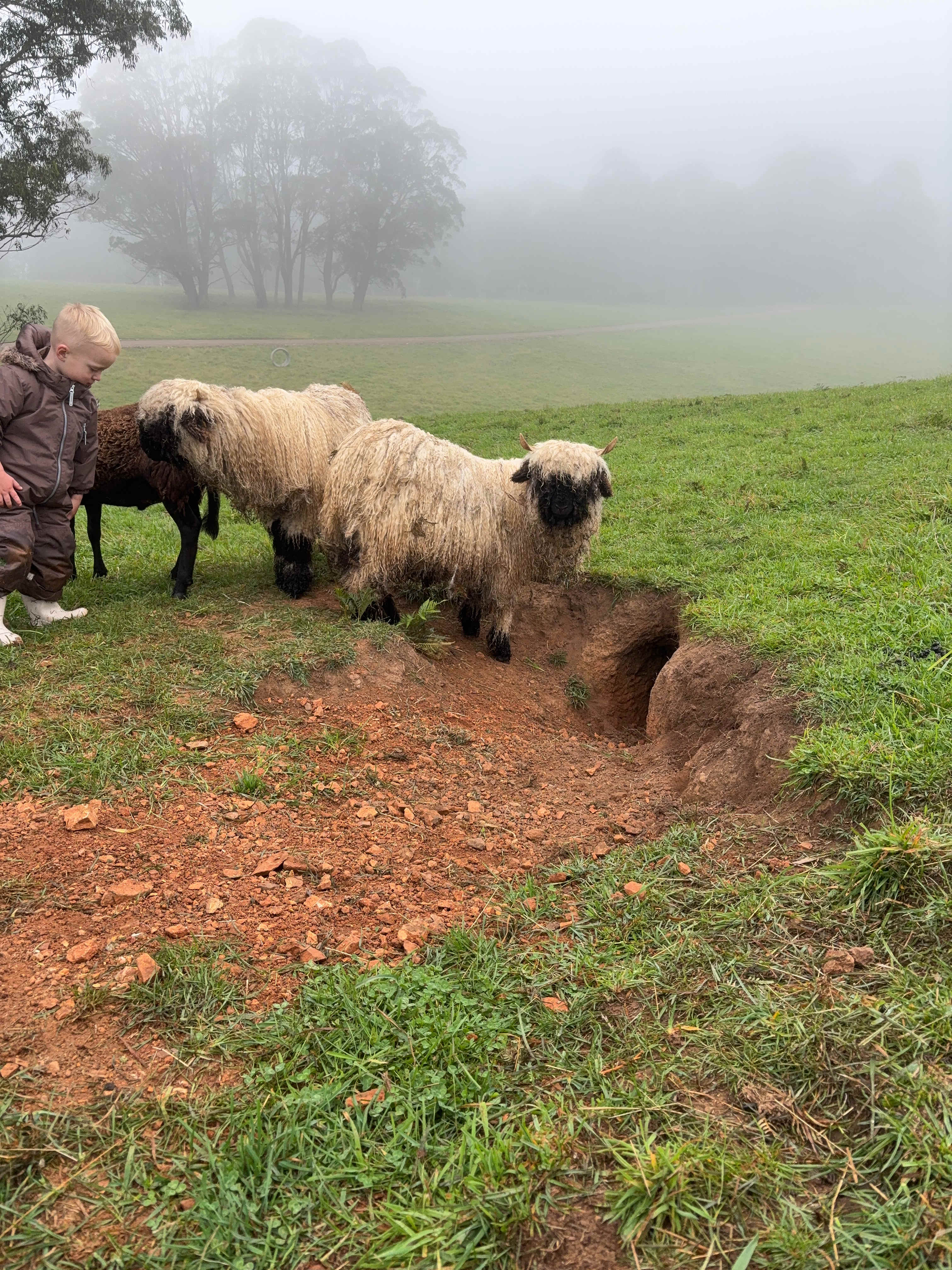 Kenzell Farm