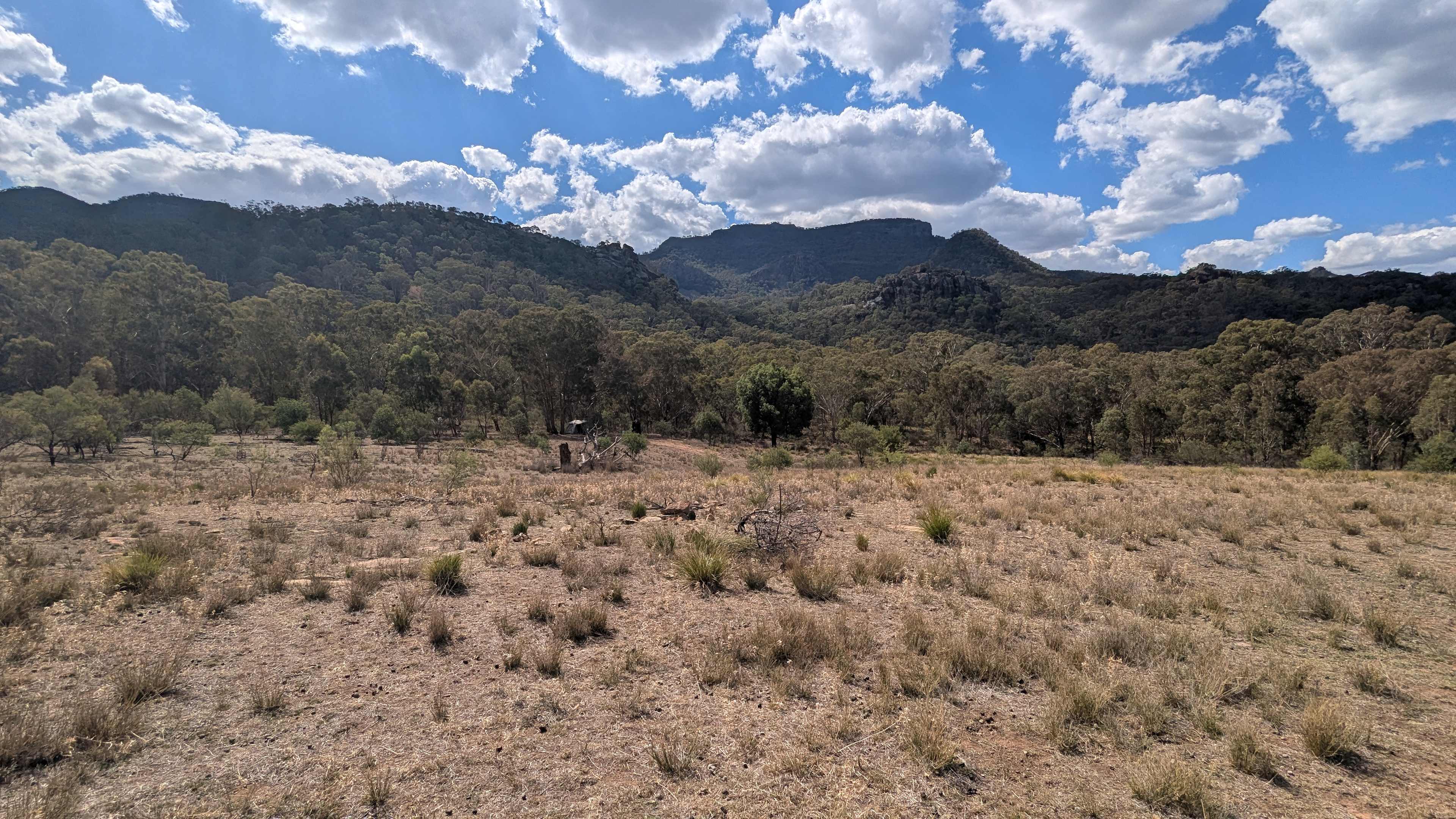 Mt Terrace