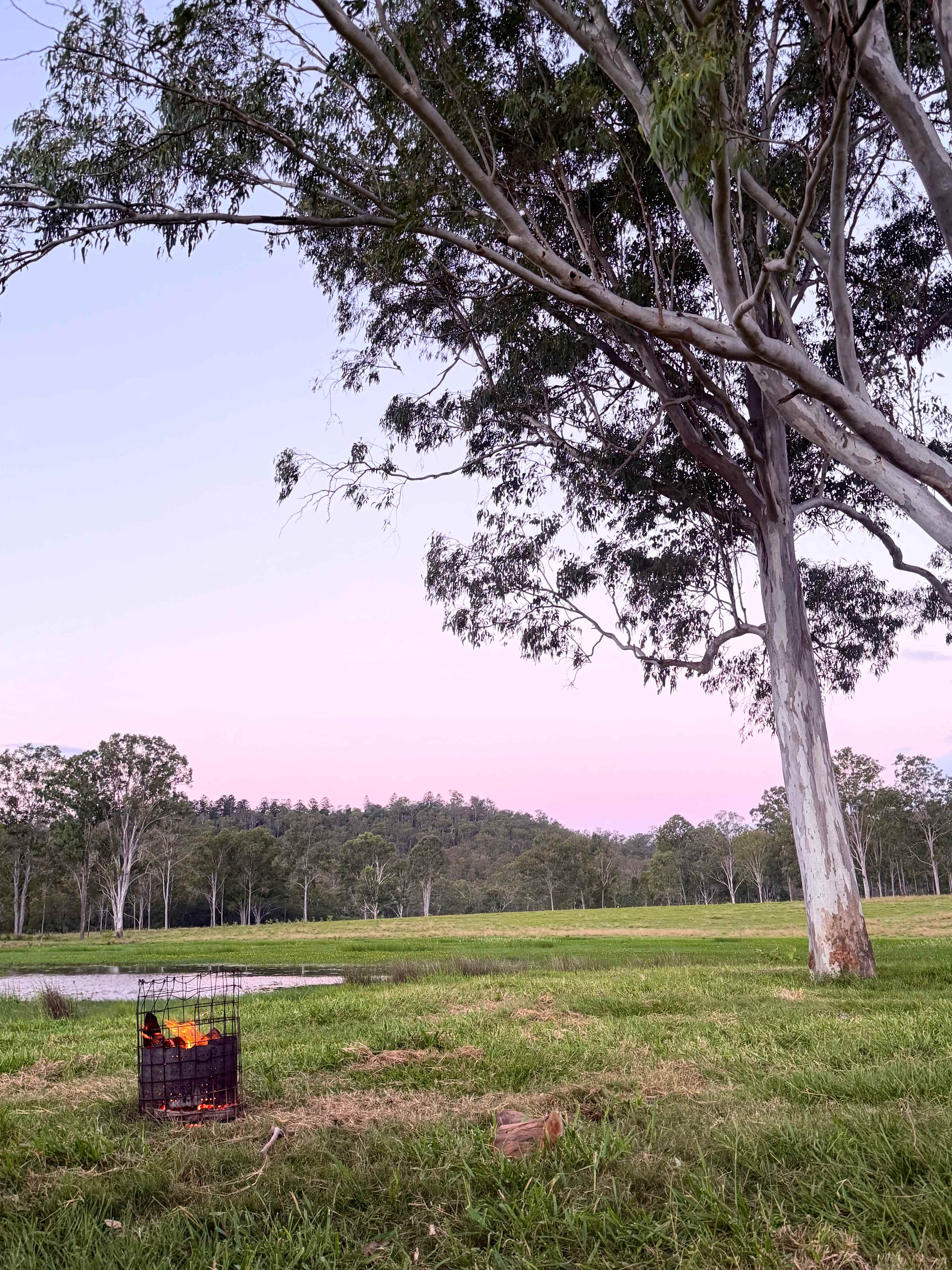 Mary River Farmstay