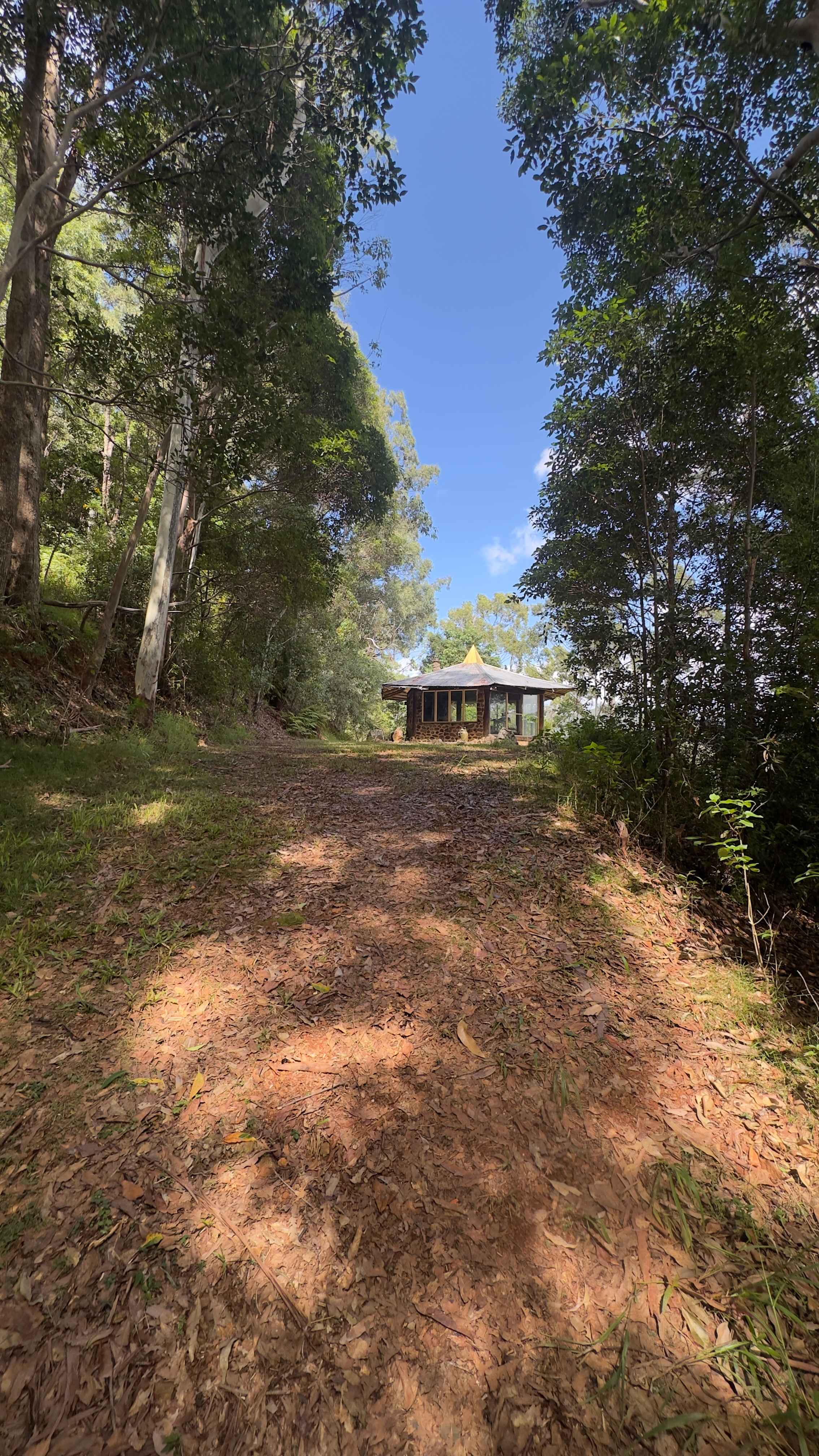Tallebudgera Veg Sanctuary.