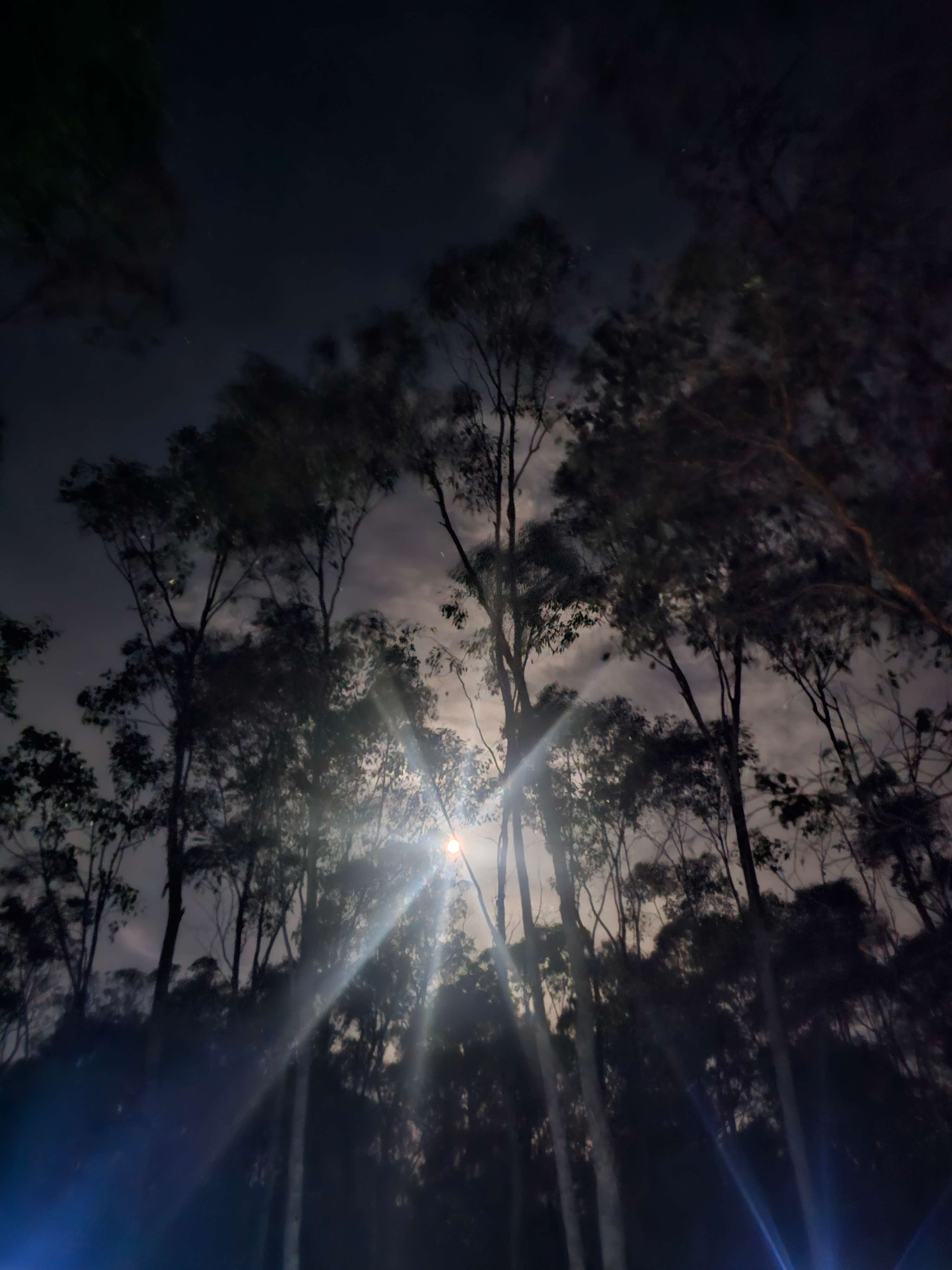 Heathcote Bushcamp