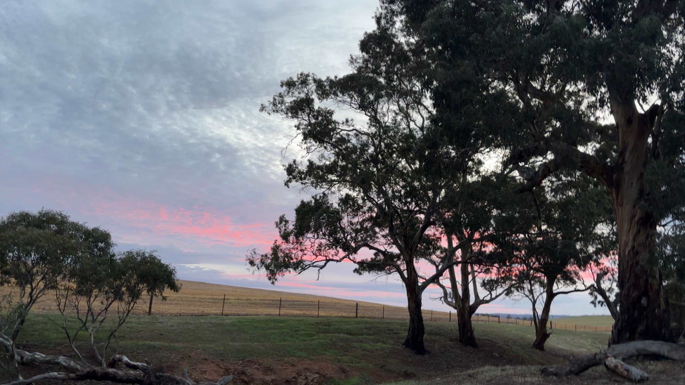 Edgehill Farm Stays Riverton