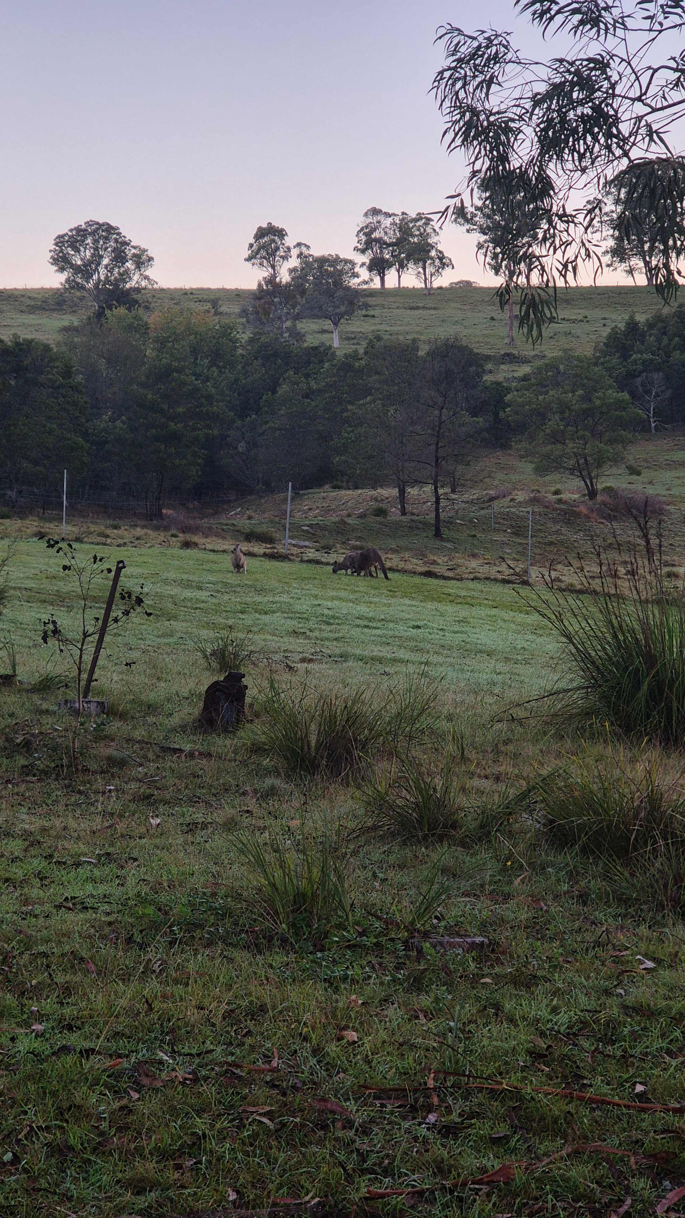 SIBA Retreat Centre