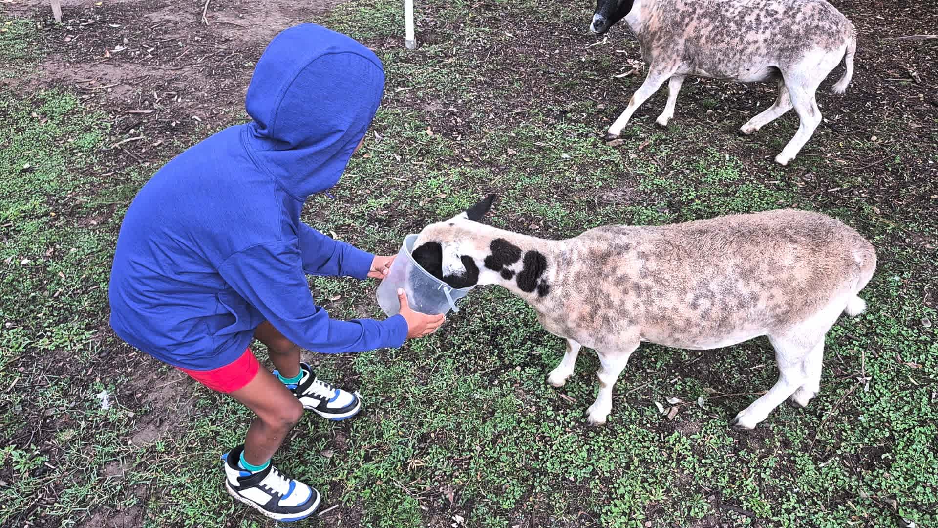 Vander Farm