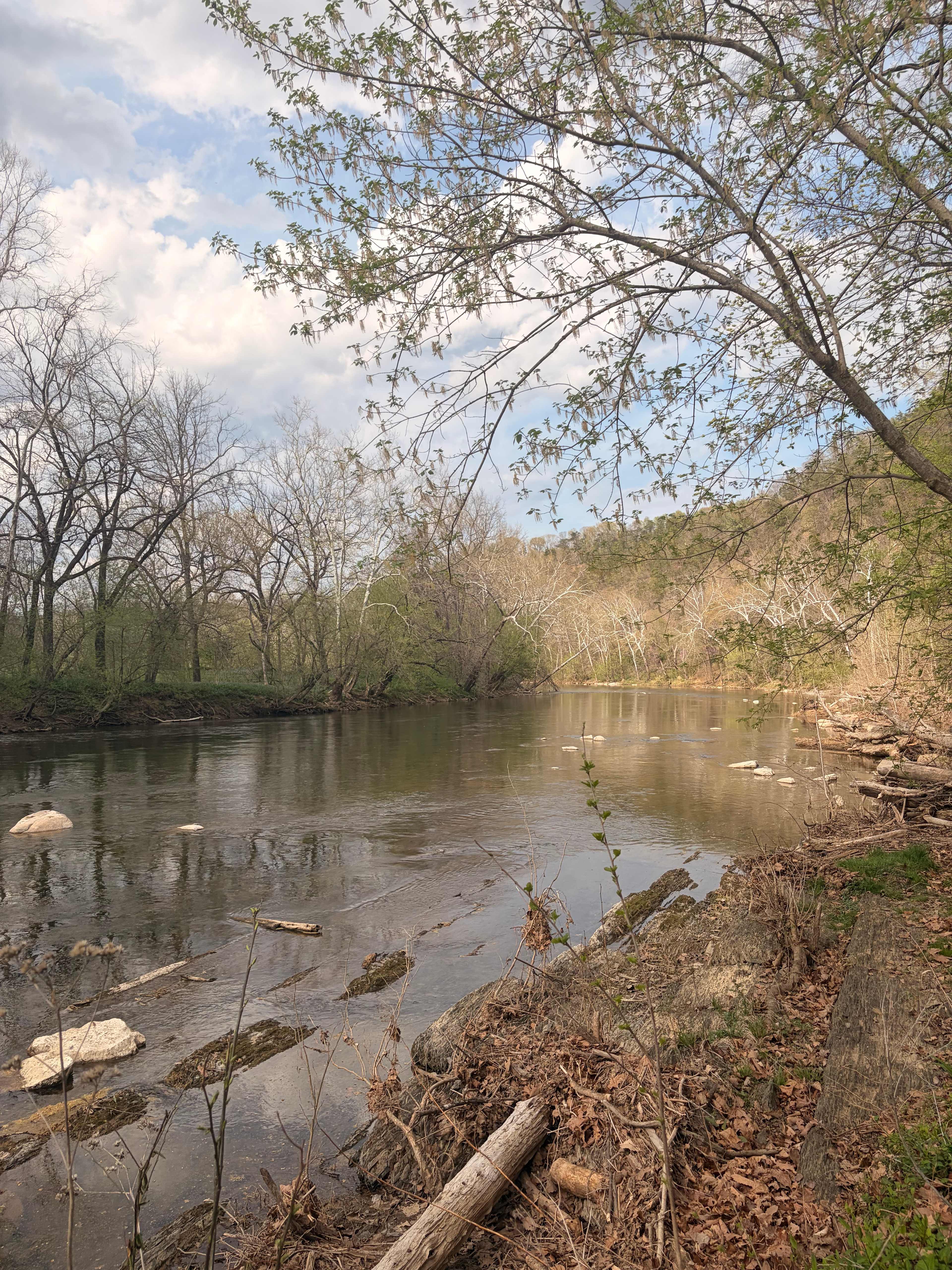 View of river from site 