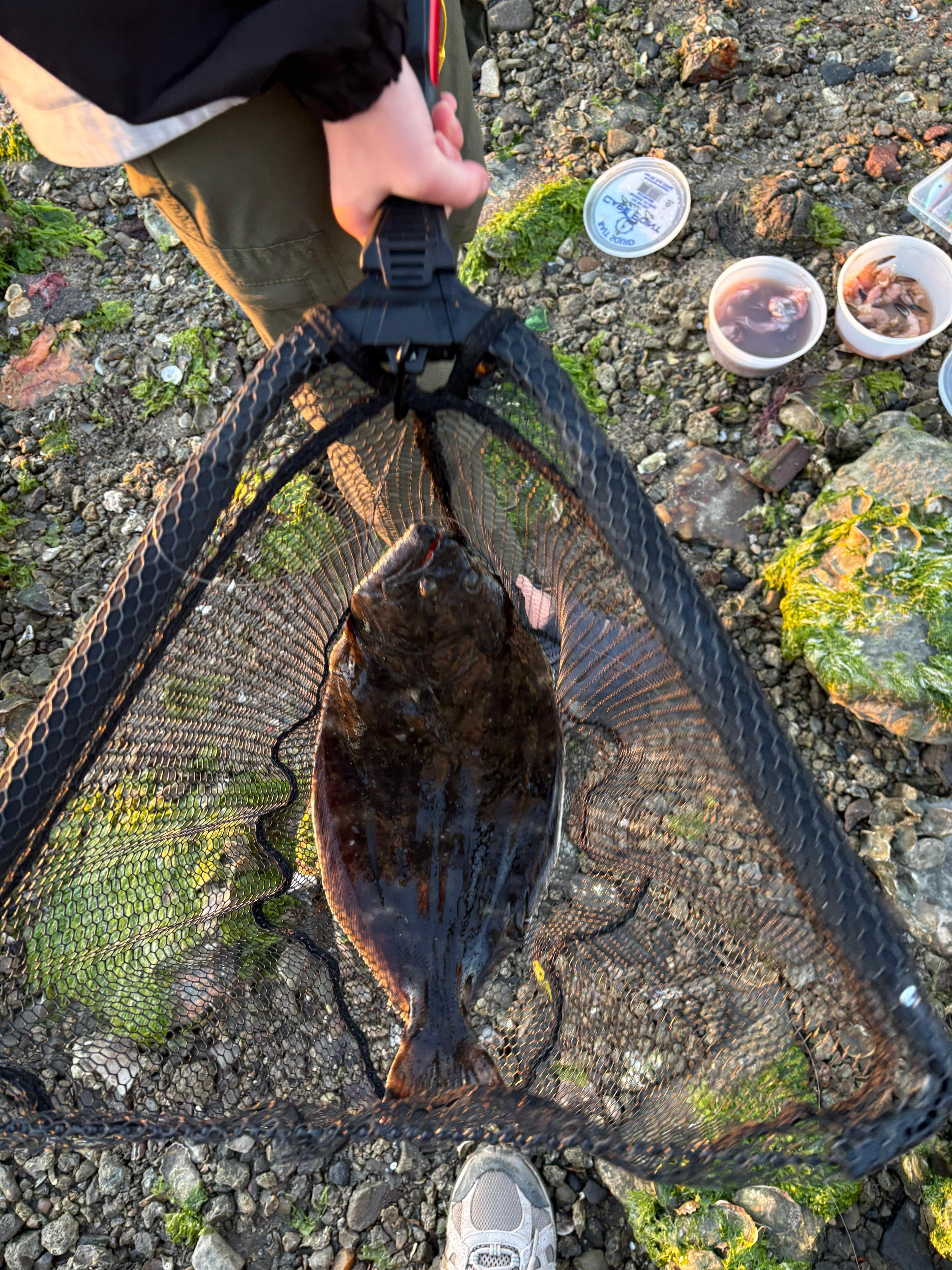 Great fishing nearby