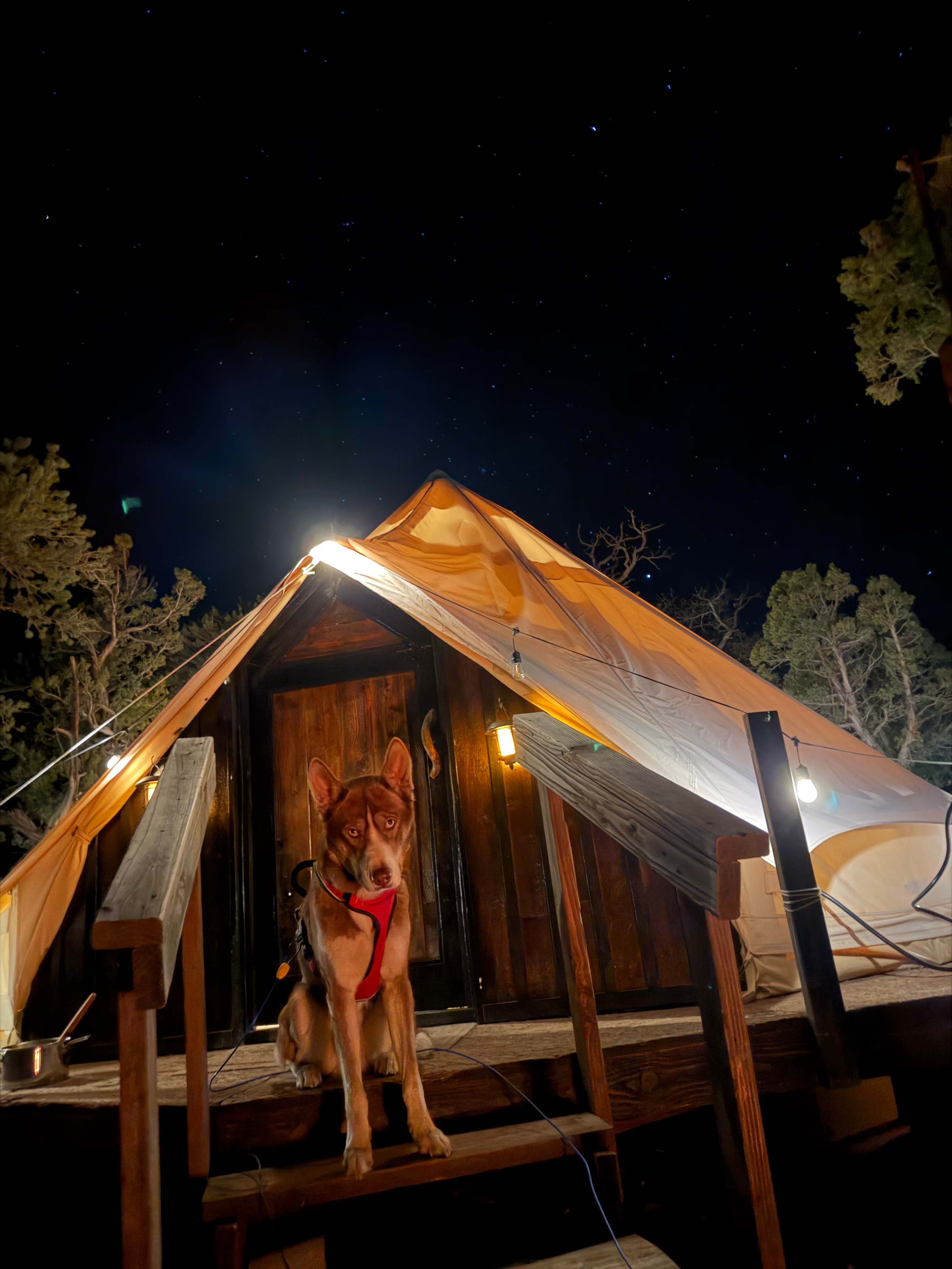 Hope Acres Glampground