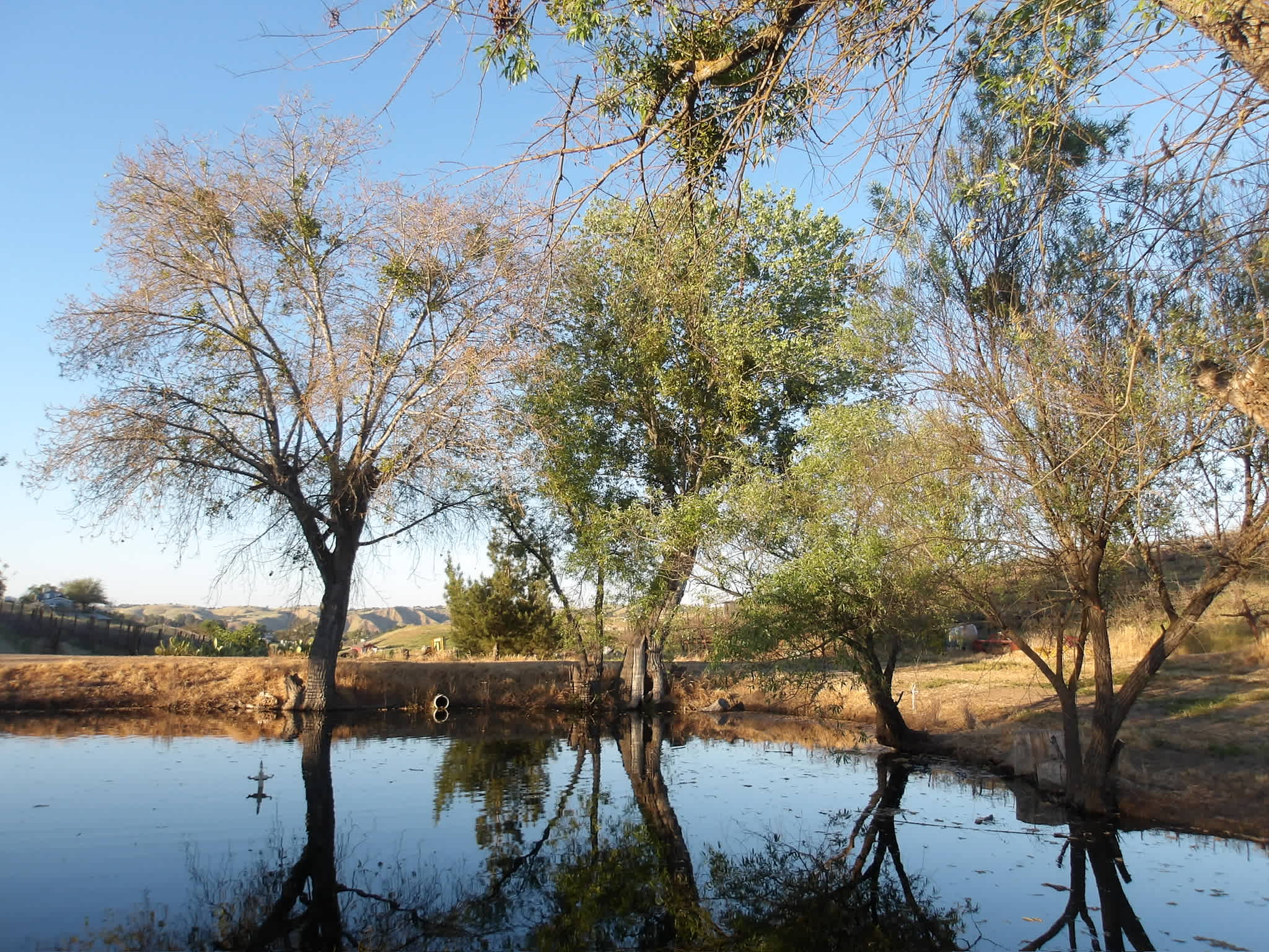 Paso Robles Camping