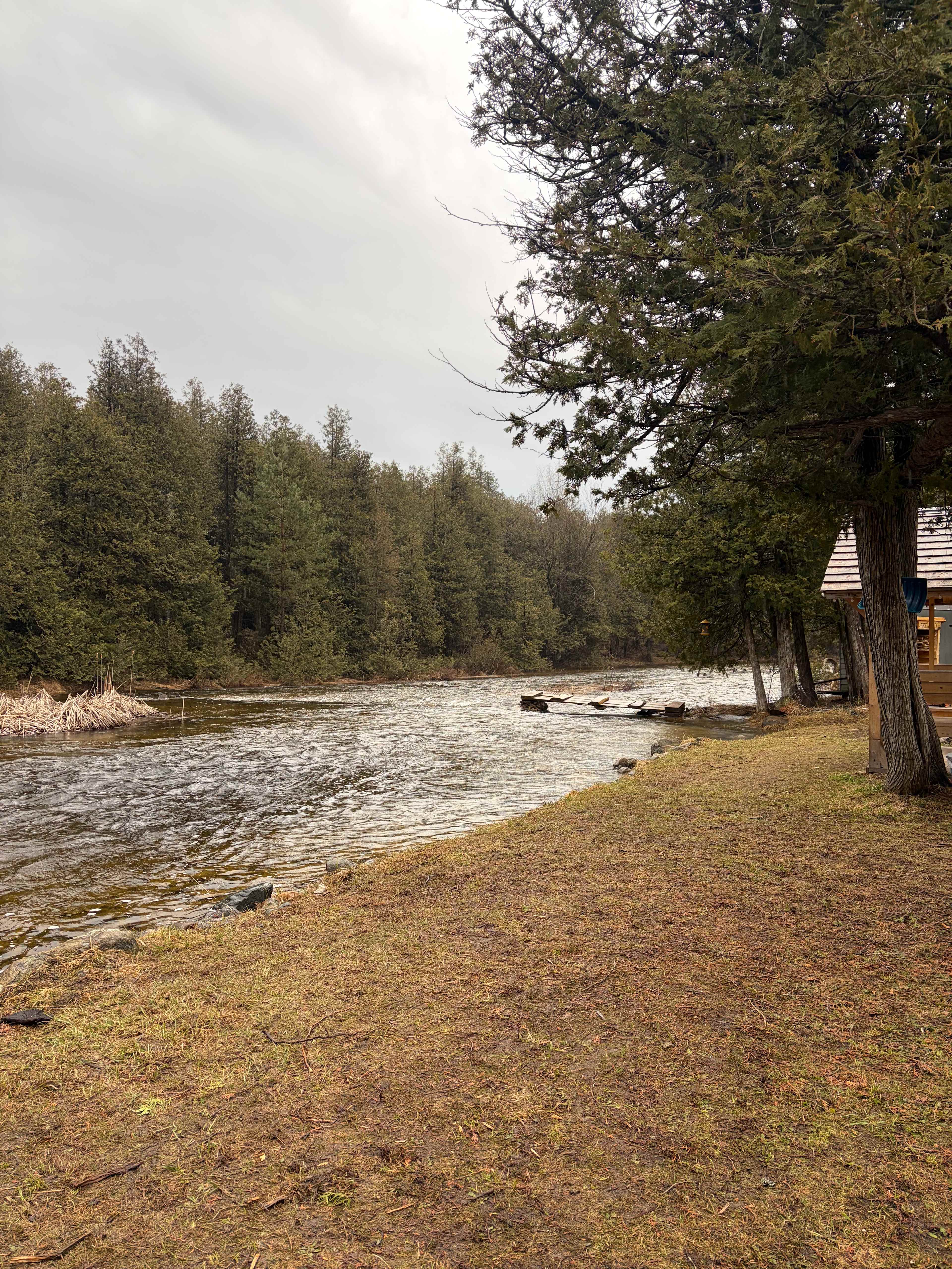 White Pines Cabin Retreat