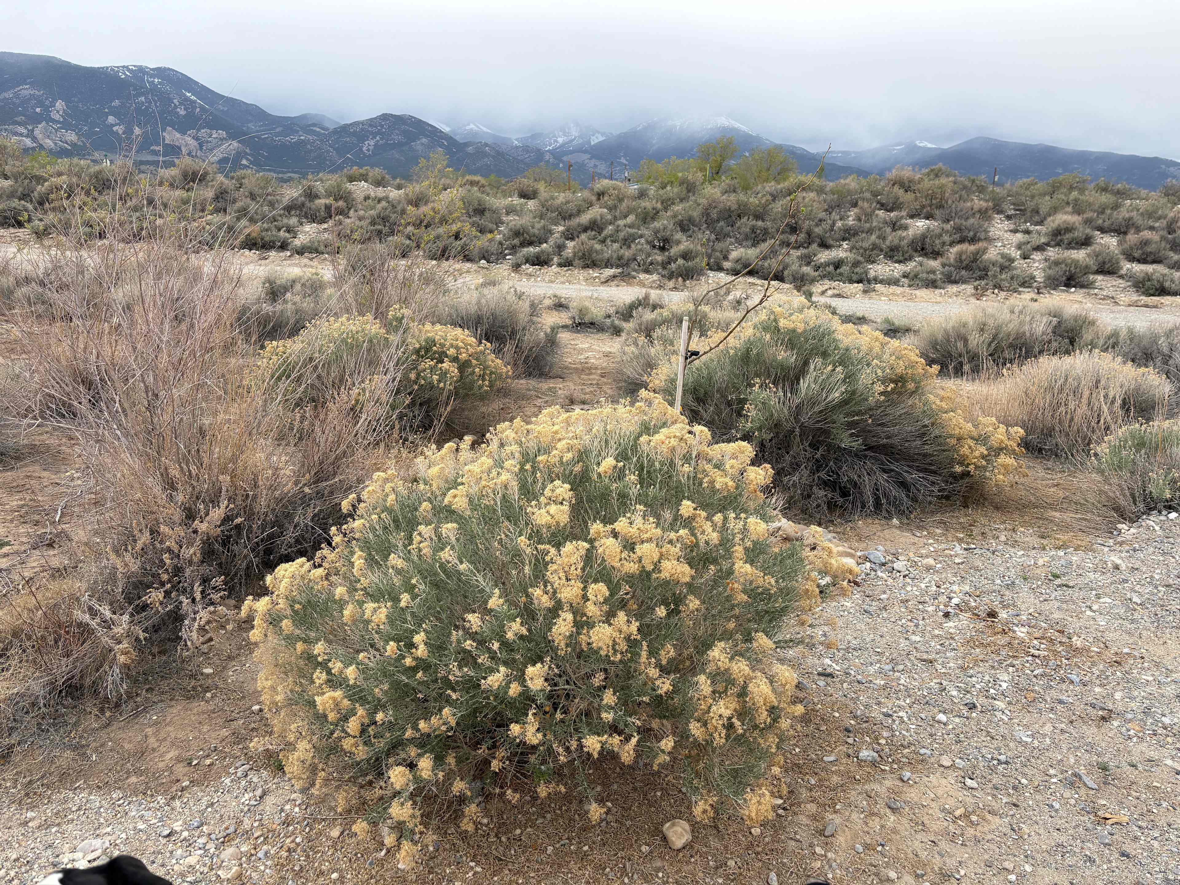 Great Basin Desert Camping & RV